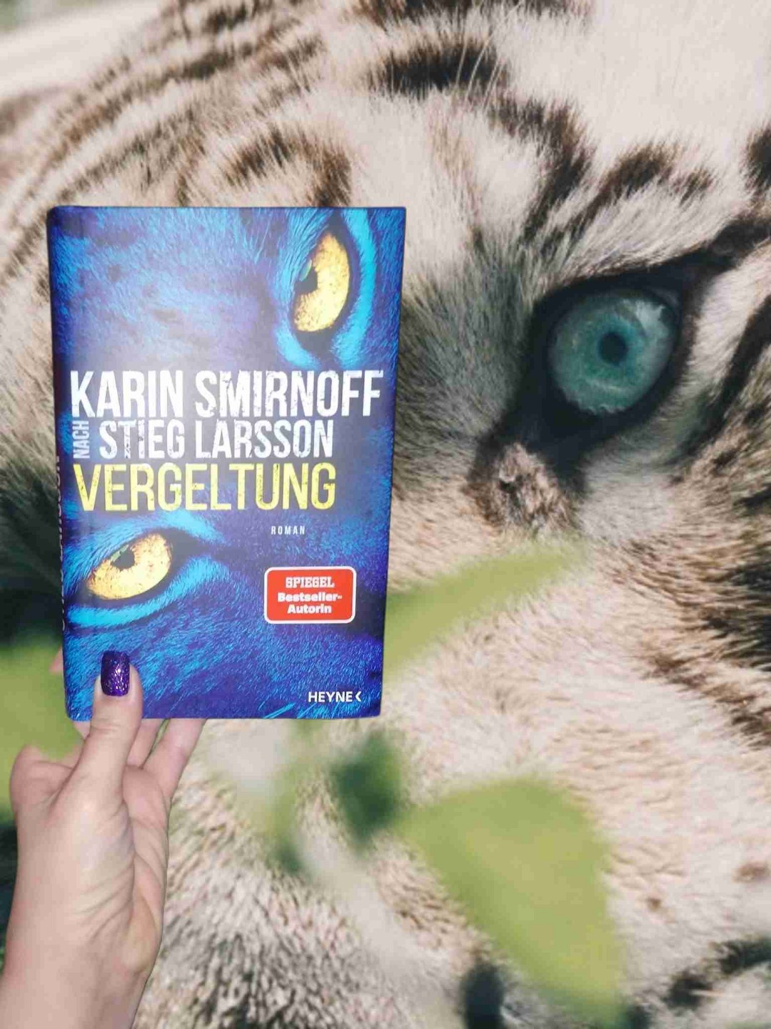 Leider eine Enttäuschung