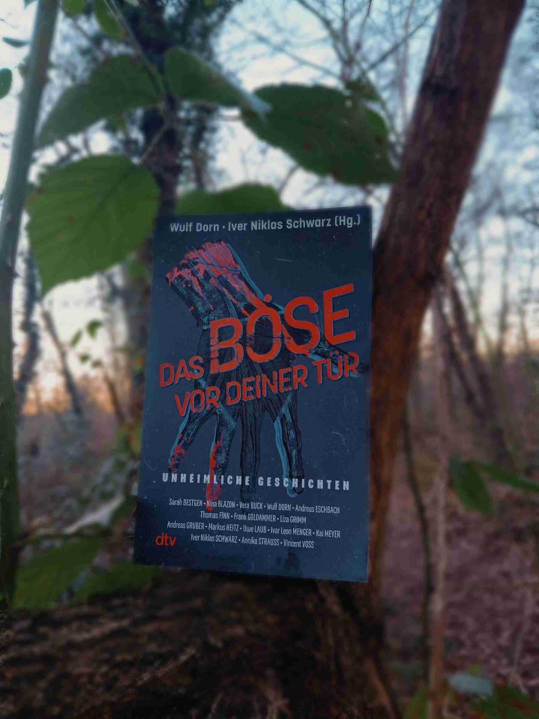Auch das Buch mit insgesamt 16 Geschichten fand ich sehr toll, manche haben mir nicht so gefallen aber es waren doch ein paar Geschichten die mir sehr gut gefallen haben, solche Bücher finde ich praktisch, da hat man gleich 16 Geschichten auf einmal dabei, und wenn mal was nicht gefällt , dann sind da noch genug die das Gegenteil bewirken können,was mich auch sehr begeistert hat war das da ein paar meiner Lieblings Autore dabei waren.