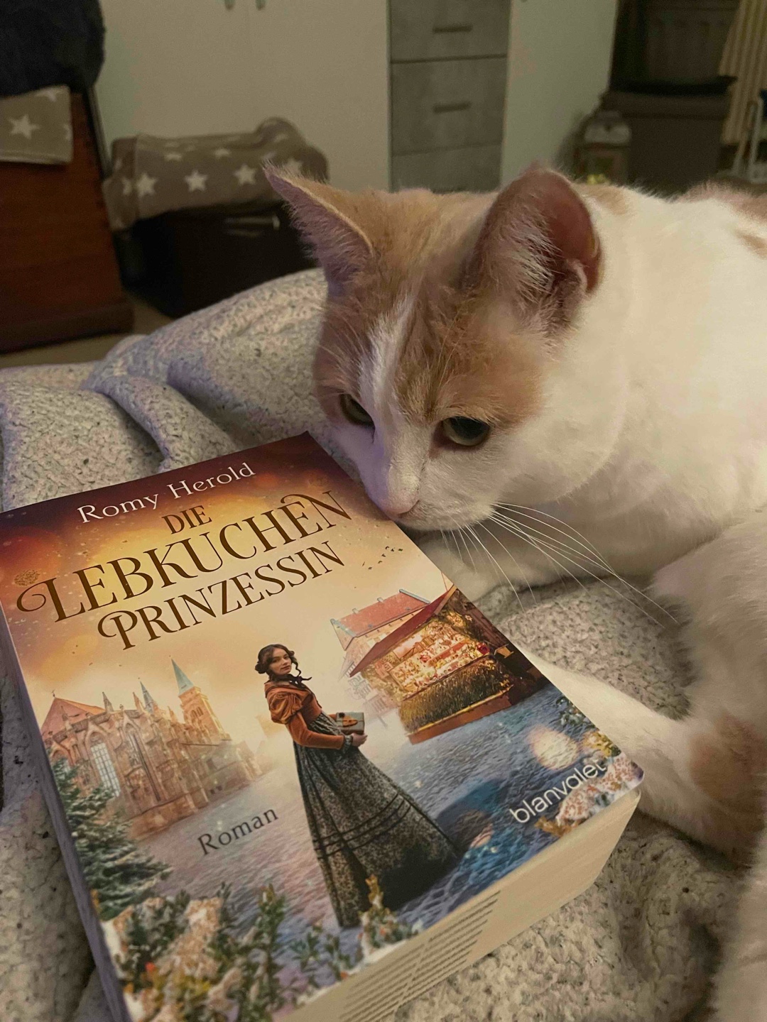 Dieses Buch ist wie ein Stück Lebkuchen selbst: süß, würzig und einfach wohltuend.🤎✨