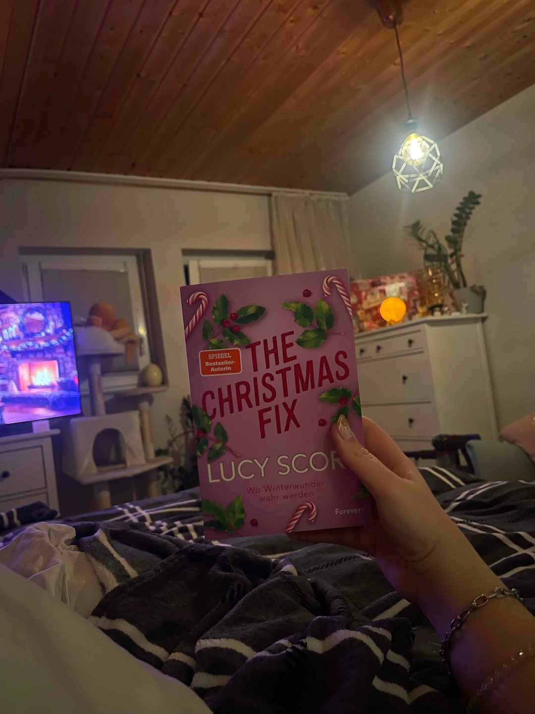 Weihnachtsbuch mit 🌶️