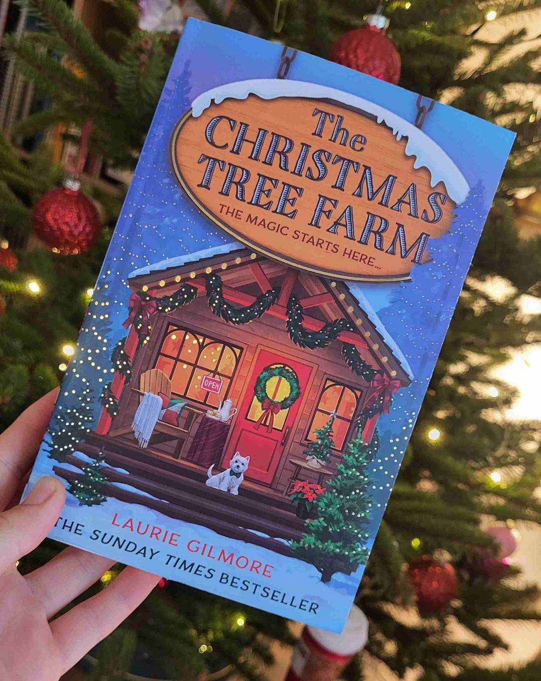 Definitiv cosy und perfekt für eine süsse Weihnachtsgeschichte zwischendurch😌