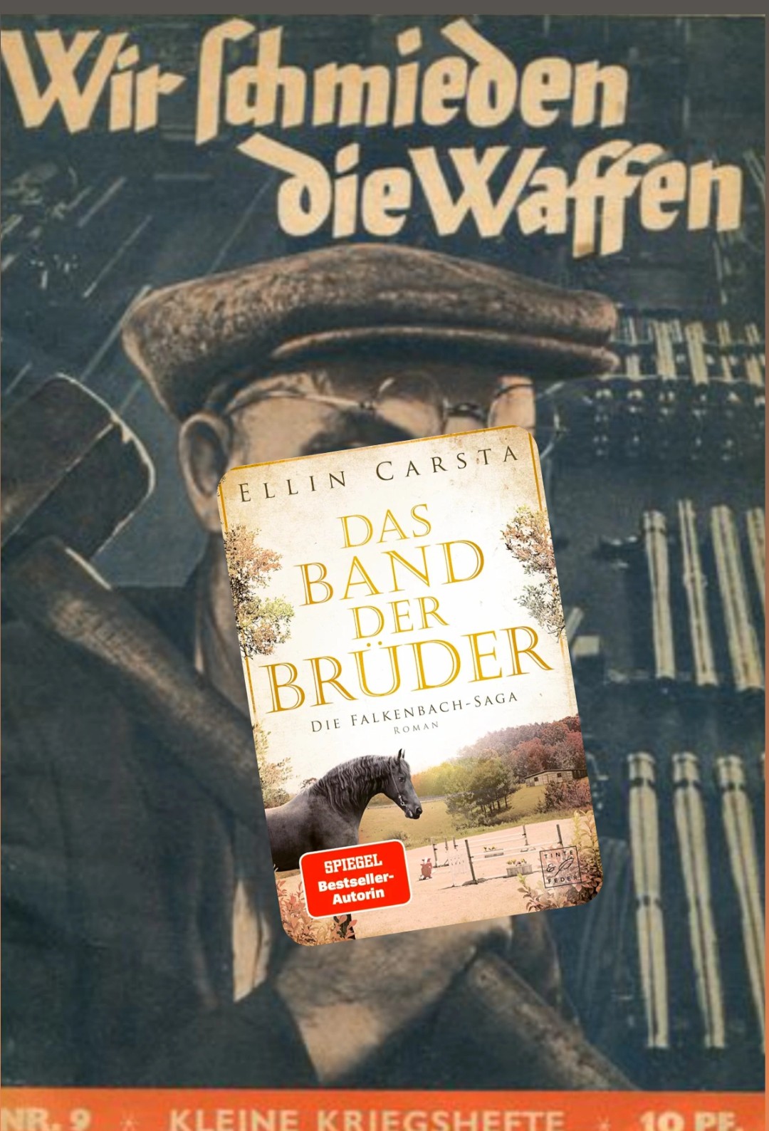 Das Band der Brüder - Die Falkenbach-Saga von Ellin Carsta
Band 8 von 12