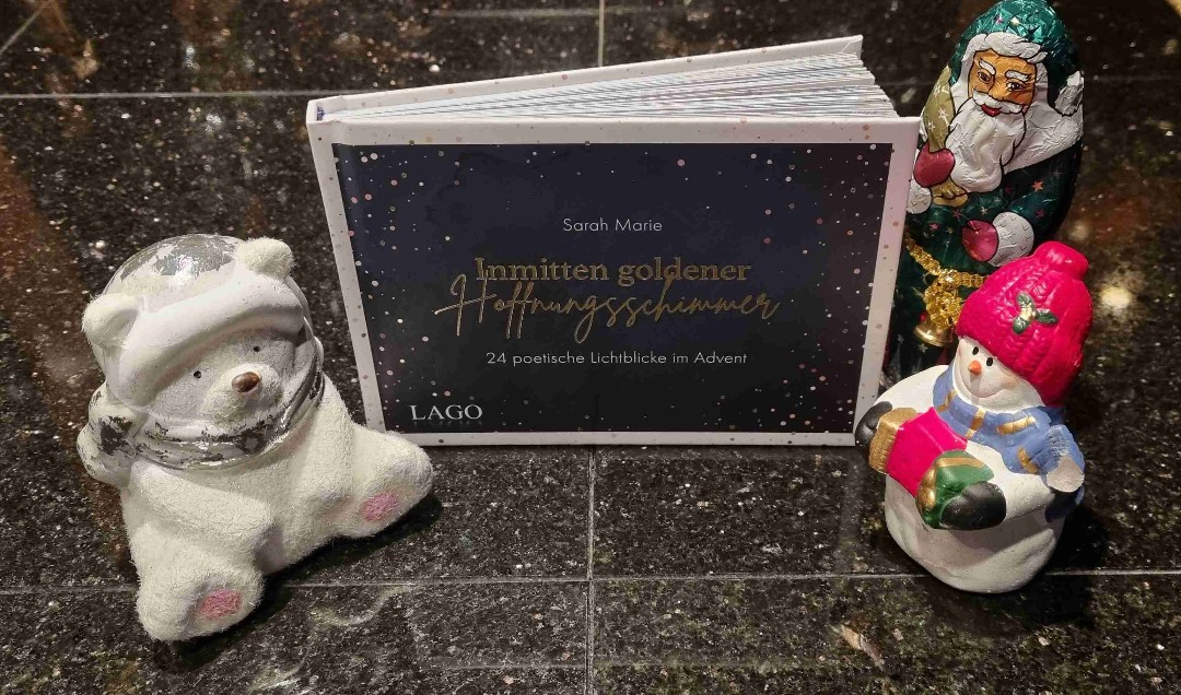 Dieser kleine buchige Adventskalender war einfach sehr niedlich ❤️
