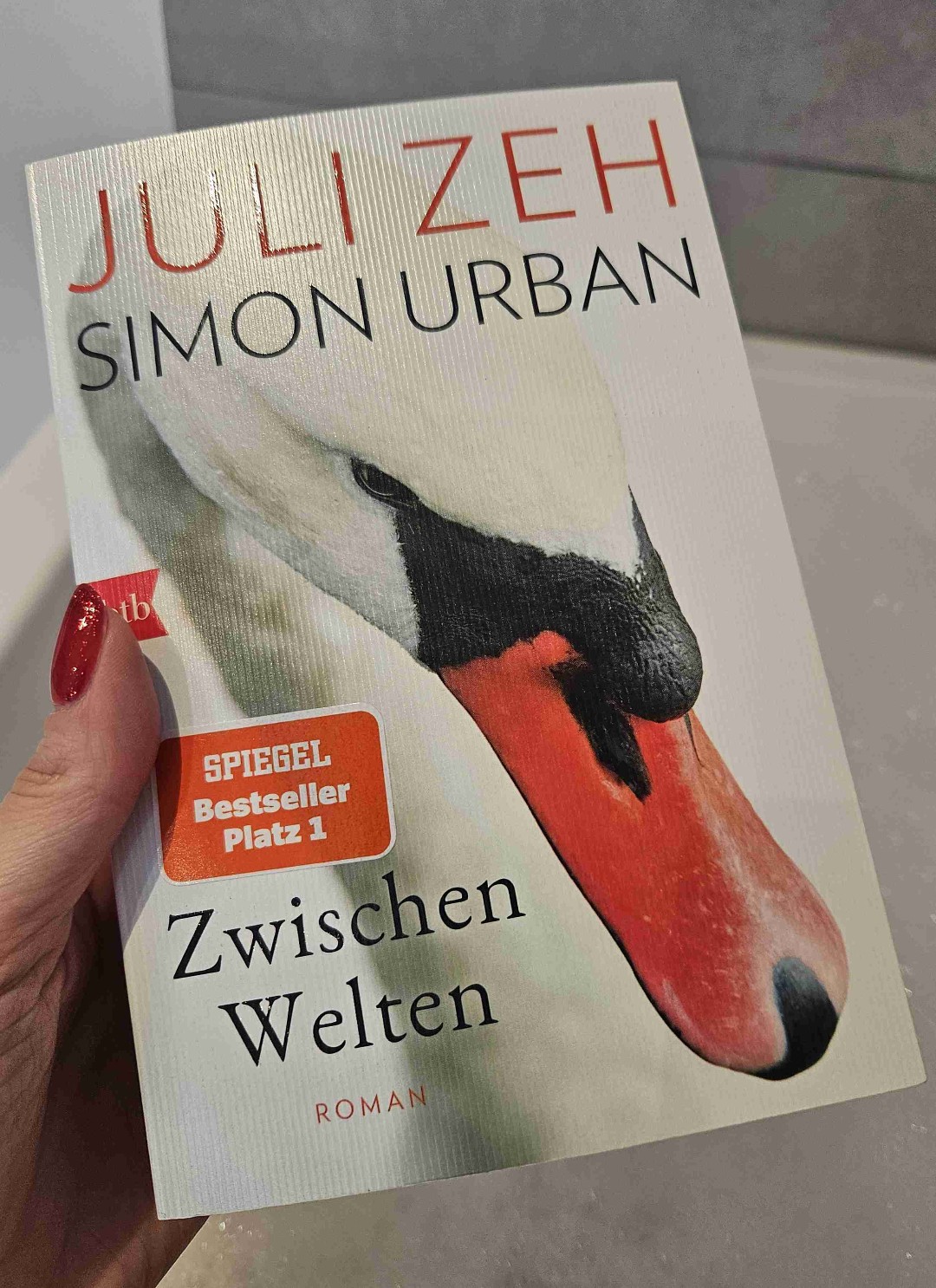 Weiß nicht. Einerseits gut. Andererseits haben mich beide Protagonist*innen extrem genervt. Ich glaube, dieses Buch kann man lesen, aber ich würde es nmd empfehlen.
Dieser Chatverlauf ist auch gewöhungsbedürftig.
