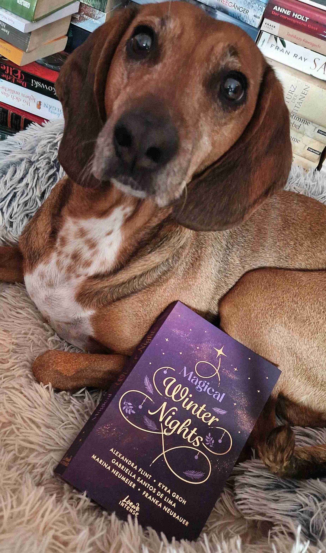 Eine charmante Sammlung von fünf romantischen Kurzgeschichten 💖