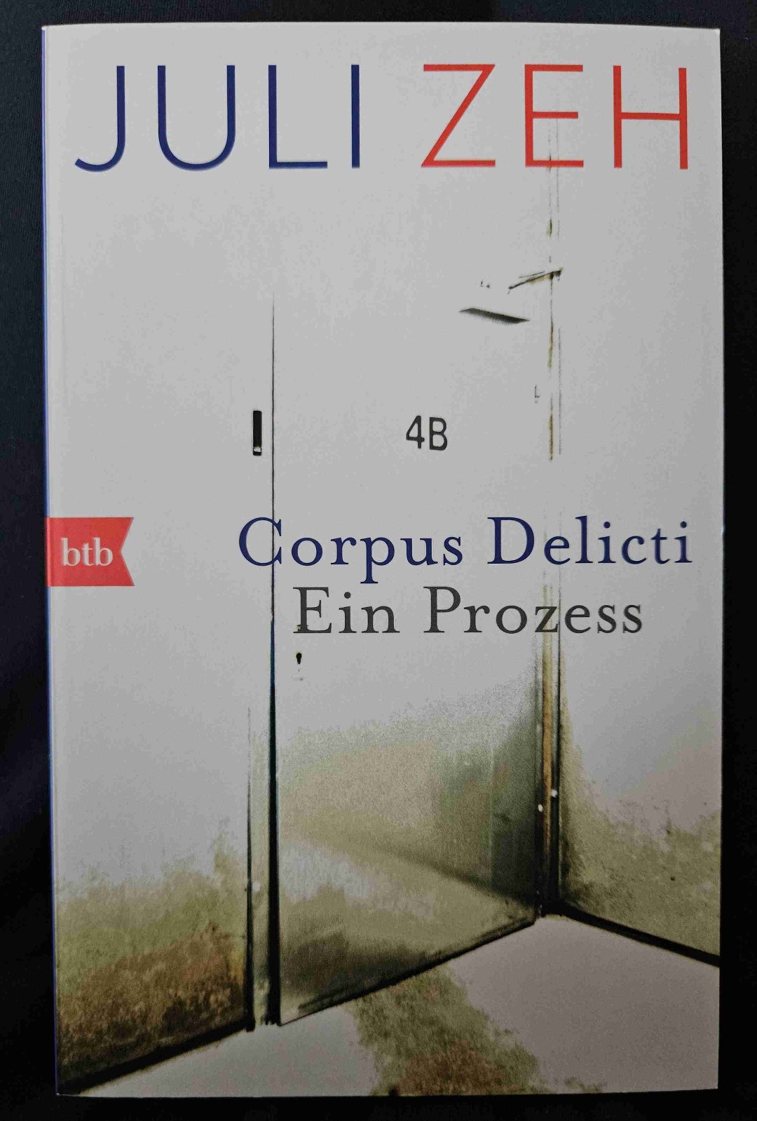 Eine Dystopie über Gesundheit und die Methode des Staates.