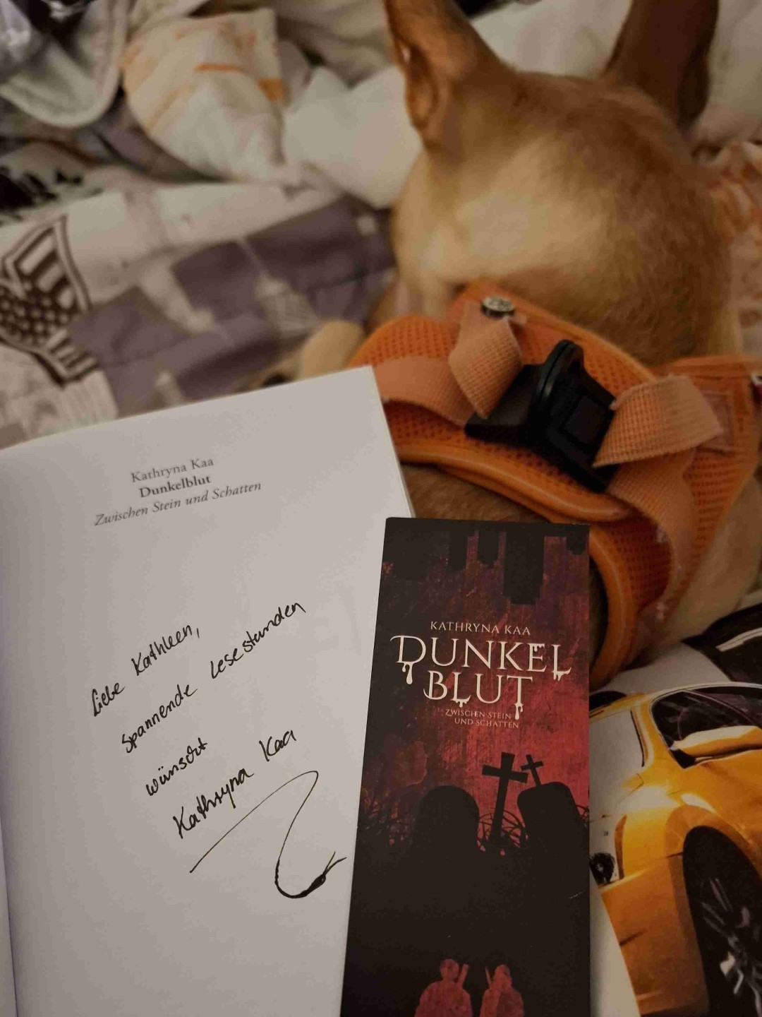 Ich habe geliebt😍
Spannung pur von der ersten bis zur letzten Seite.
Super tolle Autori ❤️