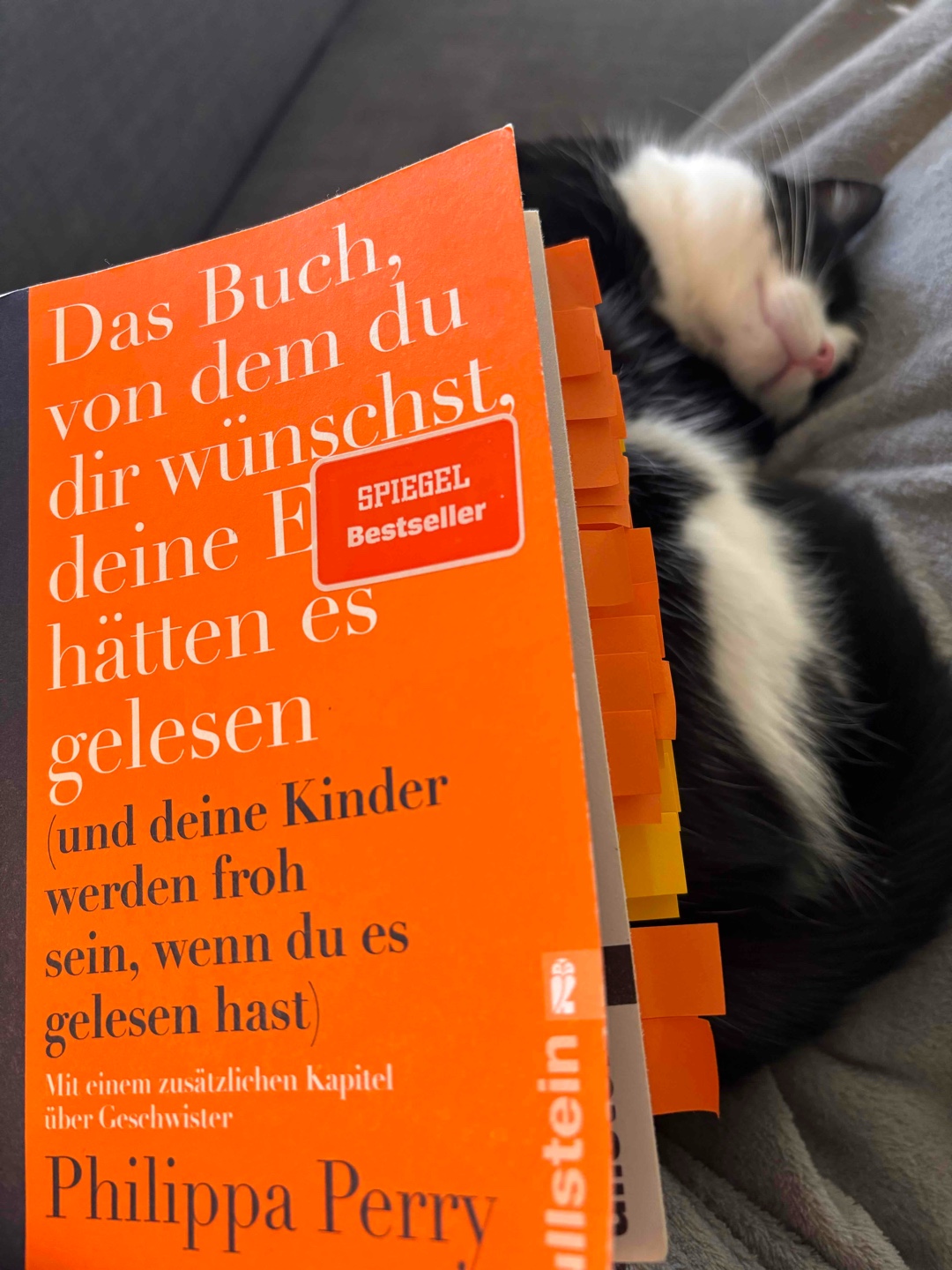 Nur zu empfehlen!!