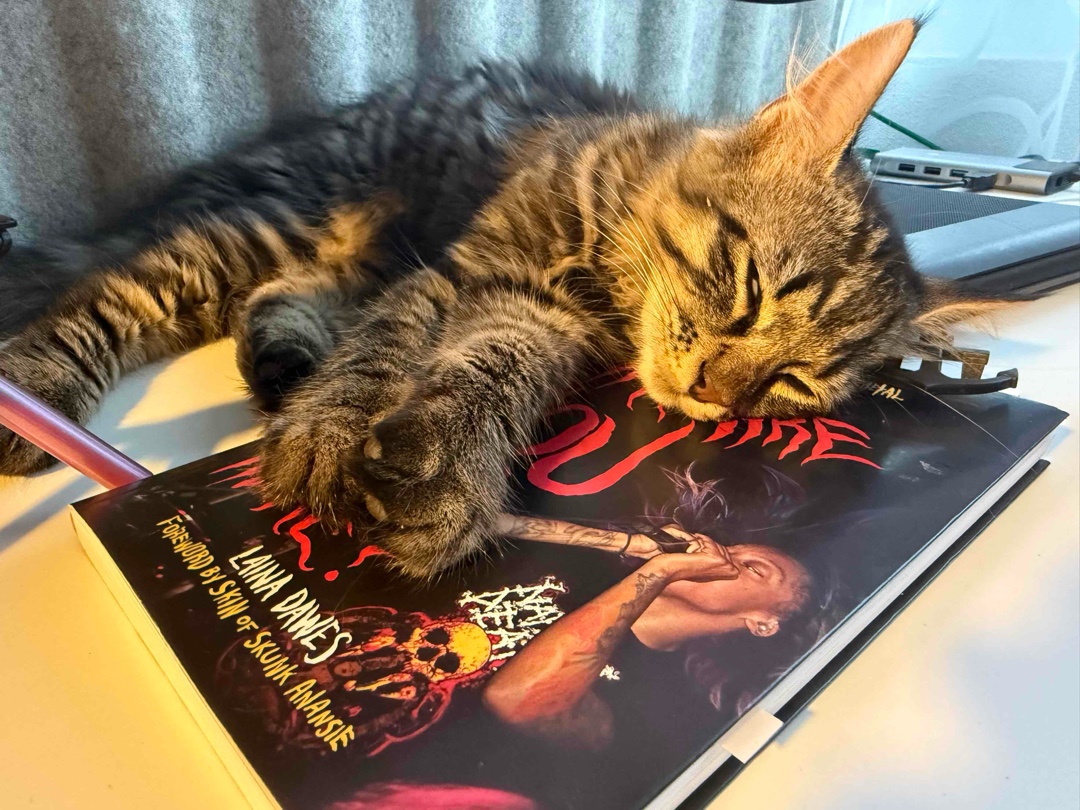 Unfassbar spannend. Ich konnte viel Input für meine Master Thesis zum Thema „Das konstruierte Andere im Extremen: Zugehörigkeit und Anerkennung in der Schweizer Death Metal Szene“ mitnehmen, obschon das Buch in einem anderen (=US-Amerikanischen) Kontext geschrieben wurde.