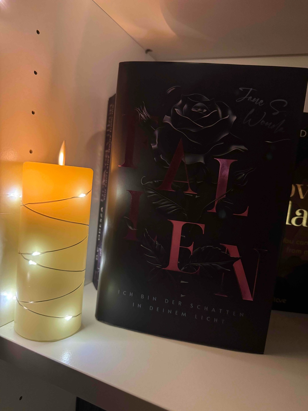 Fallen von J.S Wonda (Sammelband 3 .Bände) 😎📚