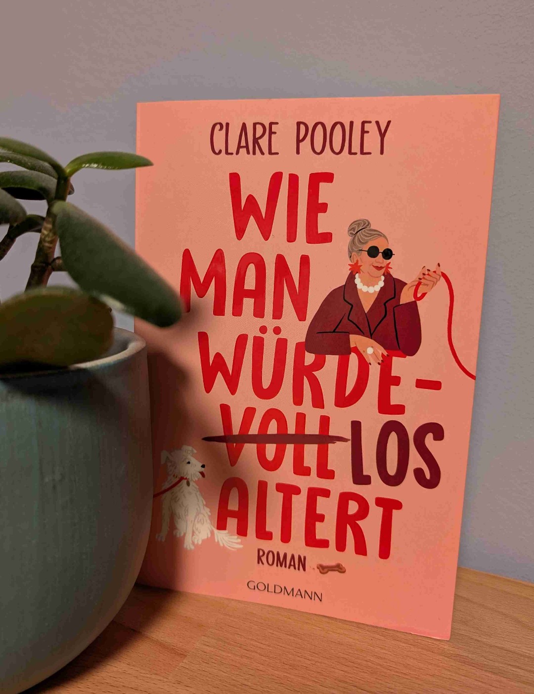 Wieder ein wundervoller Feelgood-Roman von Clare Pooley