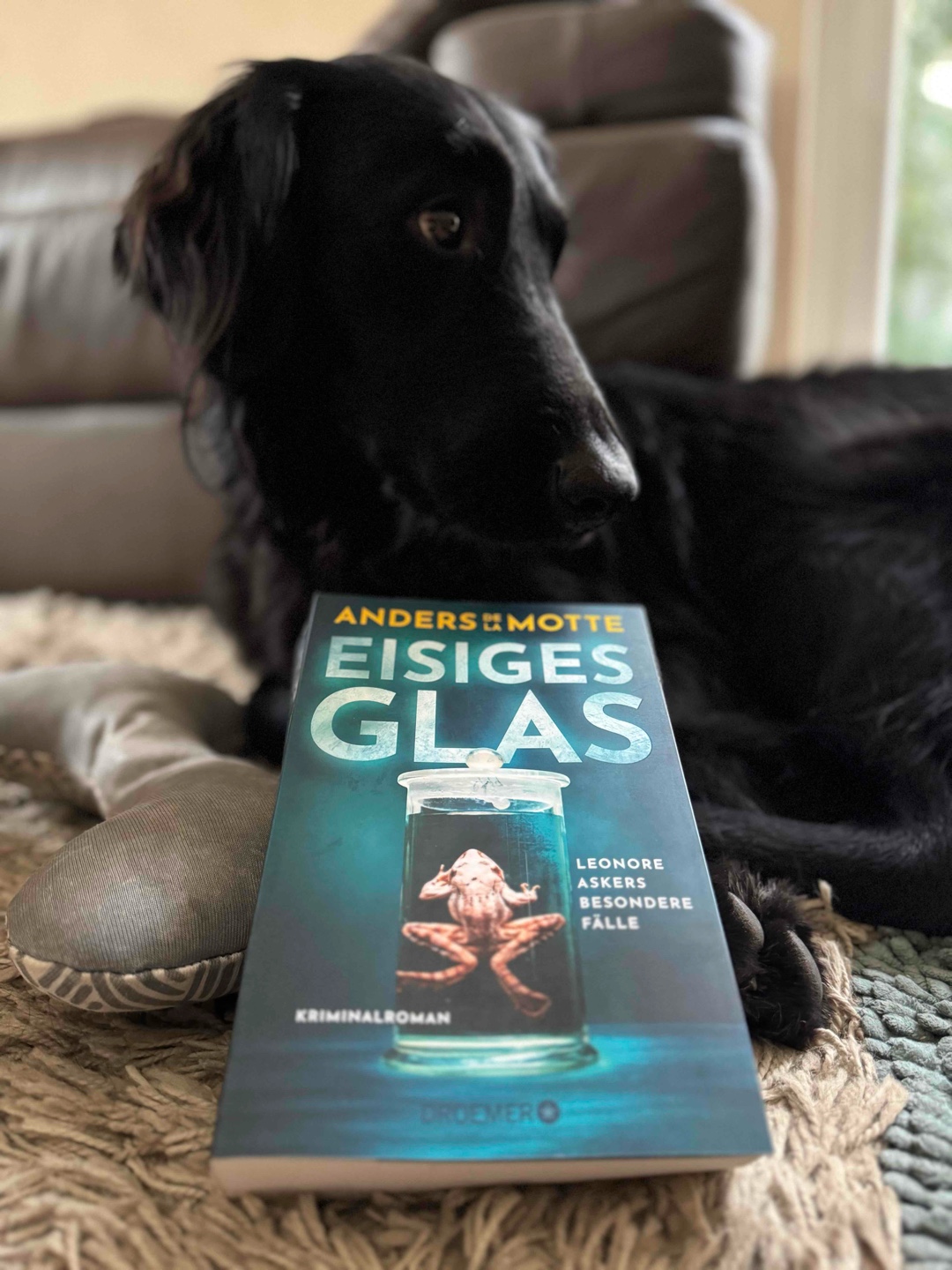 „Es liegt Trost in dem Gedanken, dass es da draussen noch etwas gibt. Etwas, das wir nicht sehen oder ganz begreifen können. Kräfte, die uns den Weg weisen, ein Leben danach. (Zitat aus Eisiges Glas, Seite 193)