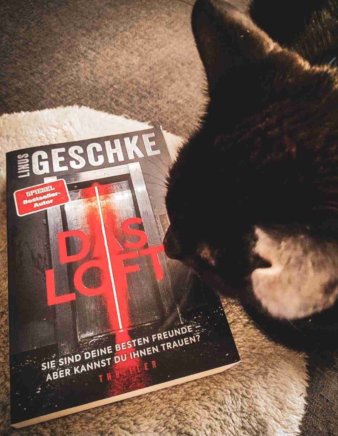 "Nicht meine Schuld, denke ich. Nichts davon ist meine Schuld."