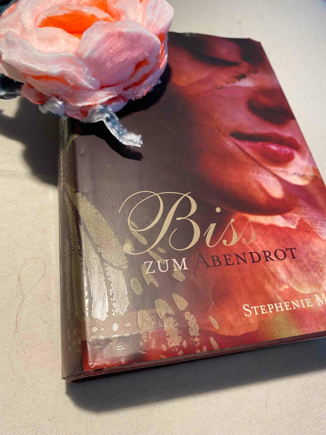 Ganz cool nur manchmal sind ein paar Stellen mit Jacob zu lange geschrieben. Habe zuerst den Film geschaut und danach die Bücher gelesen und ich ich finde es Schade das in den Film viele Stellen aus dem Buch fehlen. Ansich ist das Buch schön und unterhaltsam an manchen Stellen viel es mir schwer das Buch aus der Hand zu nehmen.🫢🤭