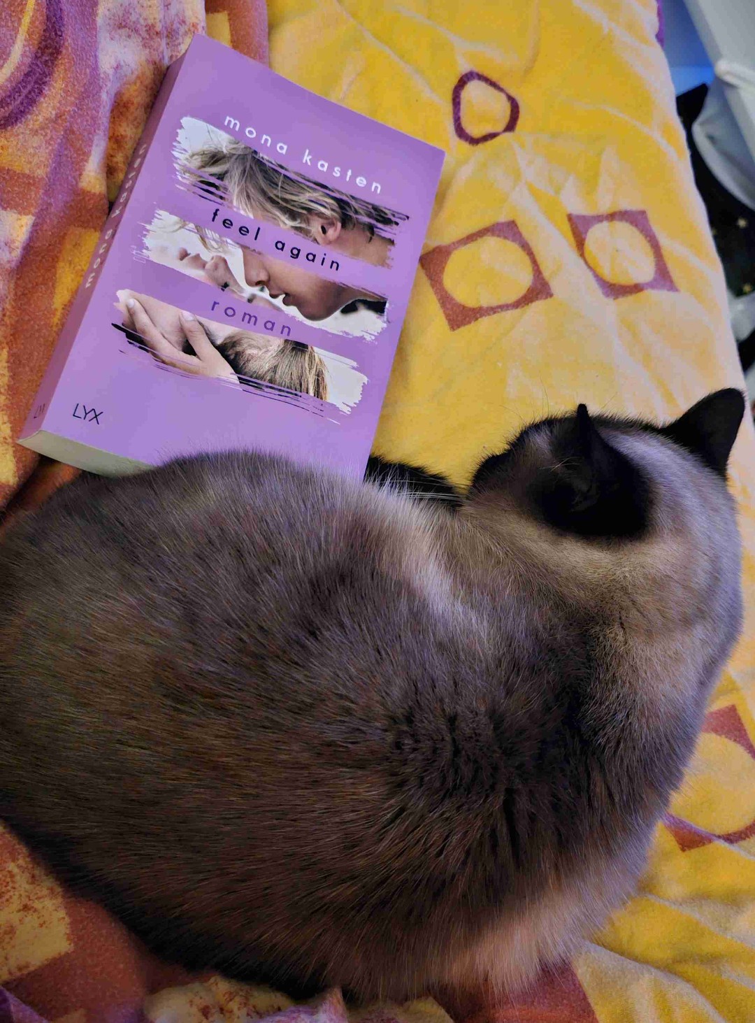 Fand es schwieriger in das Buch hinein zu kommen als bei Band 1 und 2, aber es hat mir dann definitiv super gut gefallen und es war wieder ein gutes buch nach nach einer leseflaute.