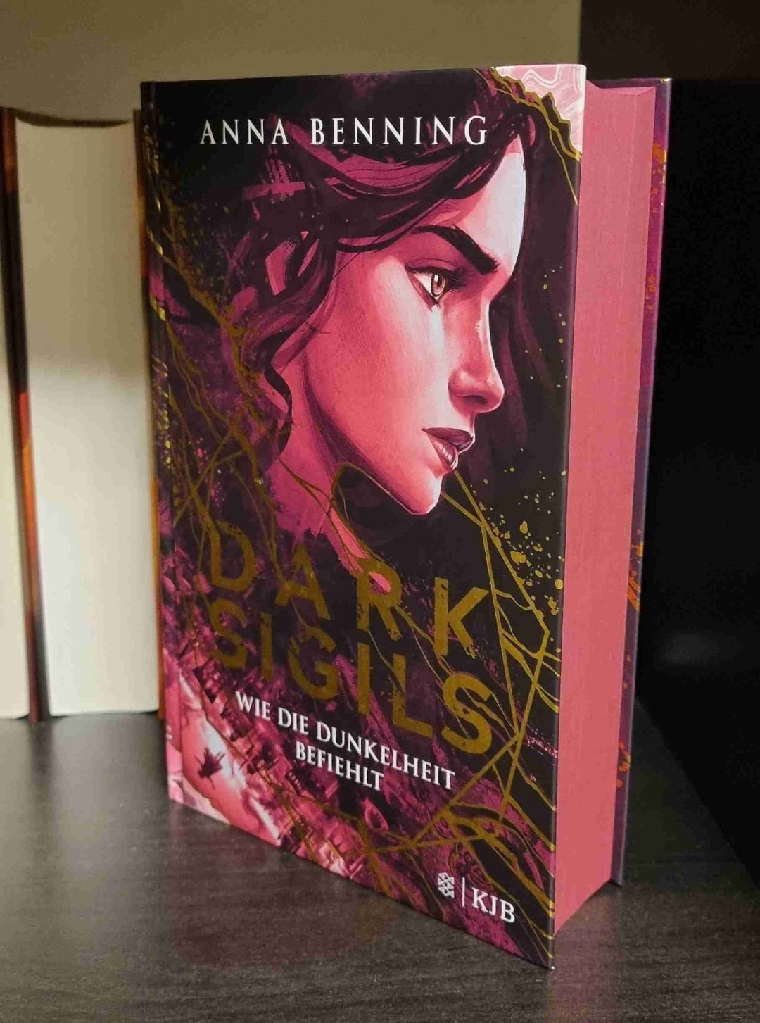 Eine wirklich tolles Urban-Fantasy Fortsetzung, bei der ich Spaß beim Lesen hatte.