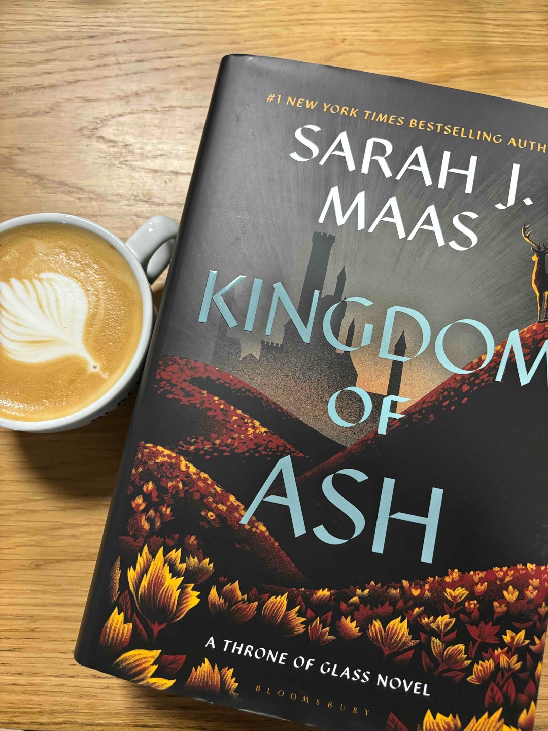Die gesamte Throne of Glass Reihe ist einfach ein Meisterwerk✨