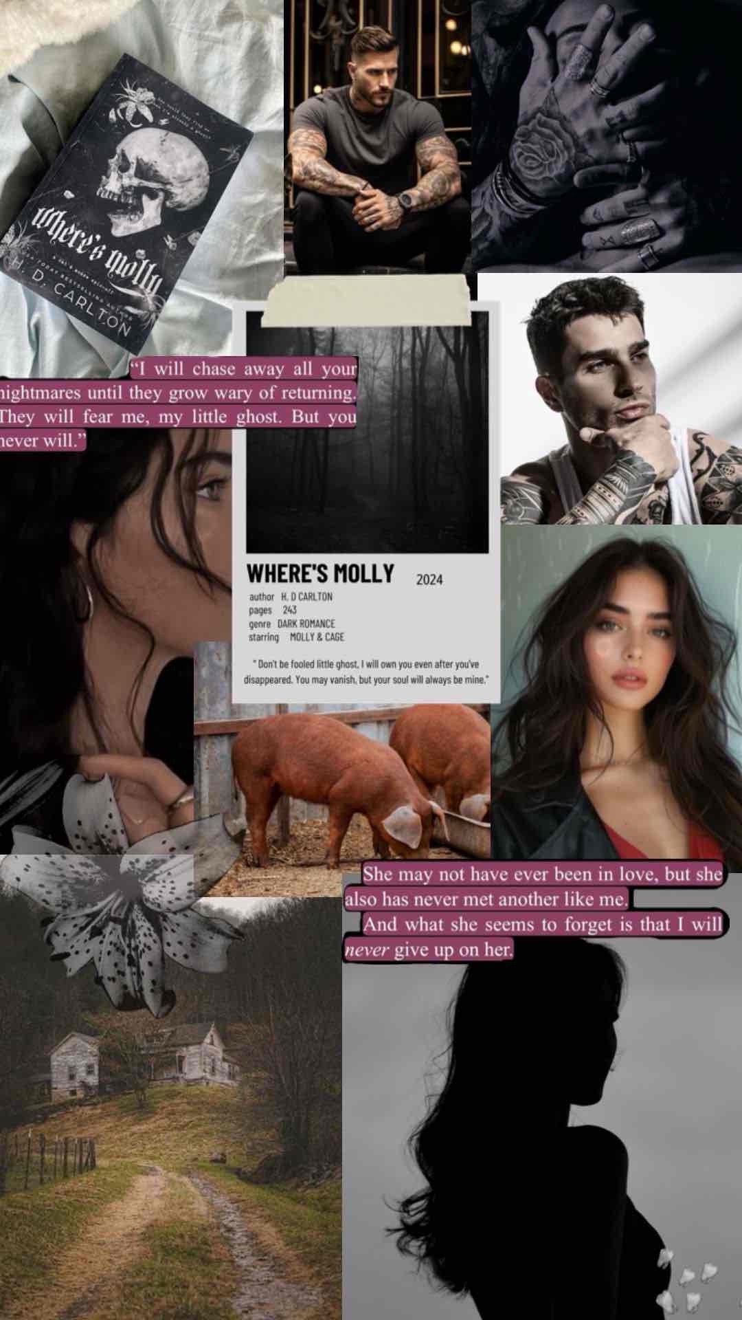 Wheres Molly - H.D Carlton
They Are Meant for eachother, He is obsessed of her