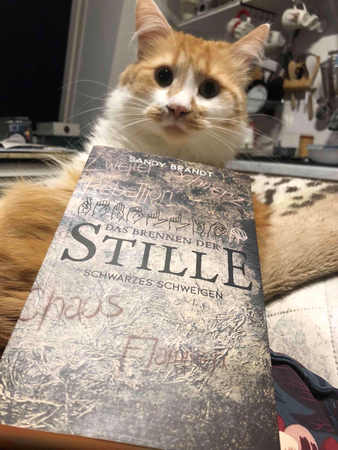 Die Stille hat ein Ende … sprichwörtlich