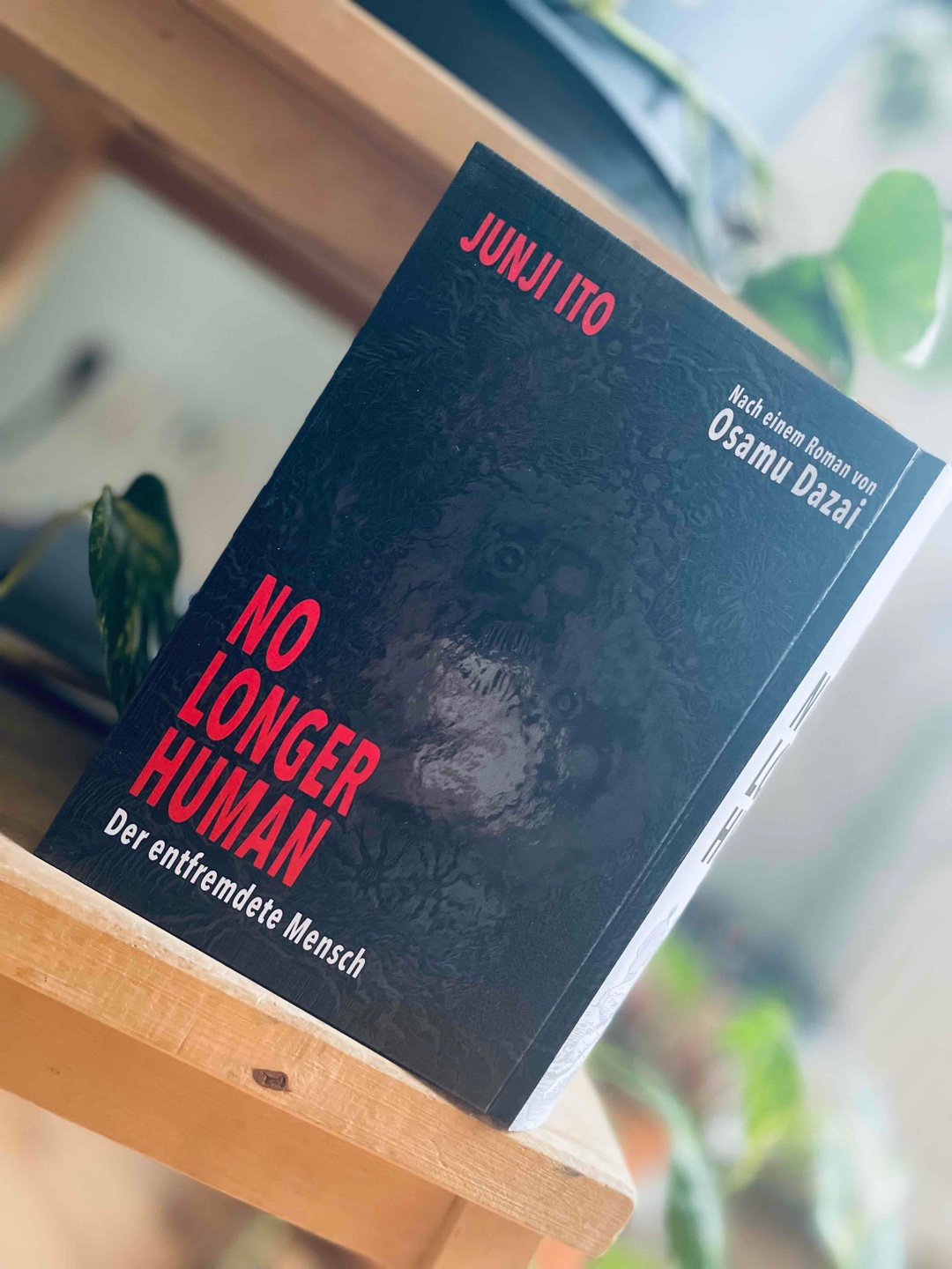 Ein Schwebezustand zwischen Mitleid und Verabscheuung gegenüber Oba. Die Zeichnungen untermalen das meiner Meinung nach perfekt. Man möchte weiterlesen und dennoch das Buch aus der Hand legen, um den Verfall der Charaktere hinauszuzögern. Für H.P. Lovecraft Fans schon aufgrund der Illustrationen ein Muss! Ich danke dem Kollegen für die Empfehlung.