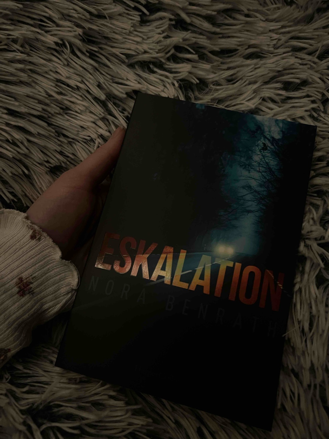 Spannender Thriller mit einem guten Plottwist zum Ende.