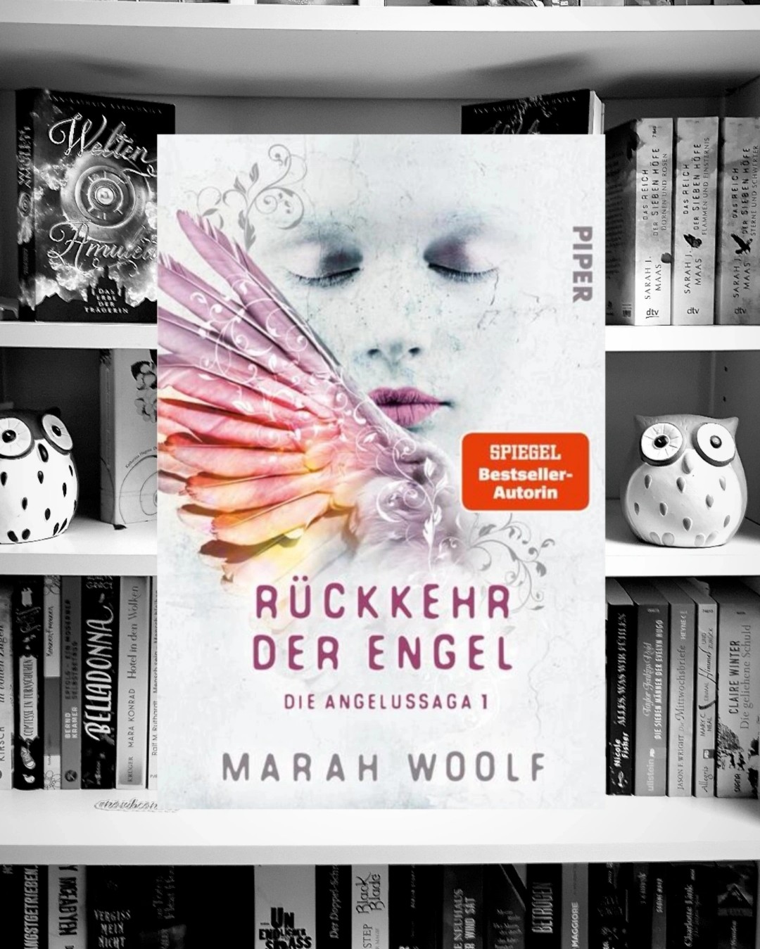 Klasse Auftakt, Hans geliebt und freue mich auf Band 2 und 3 
