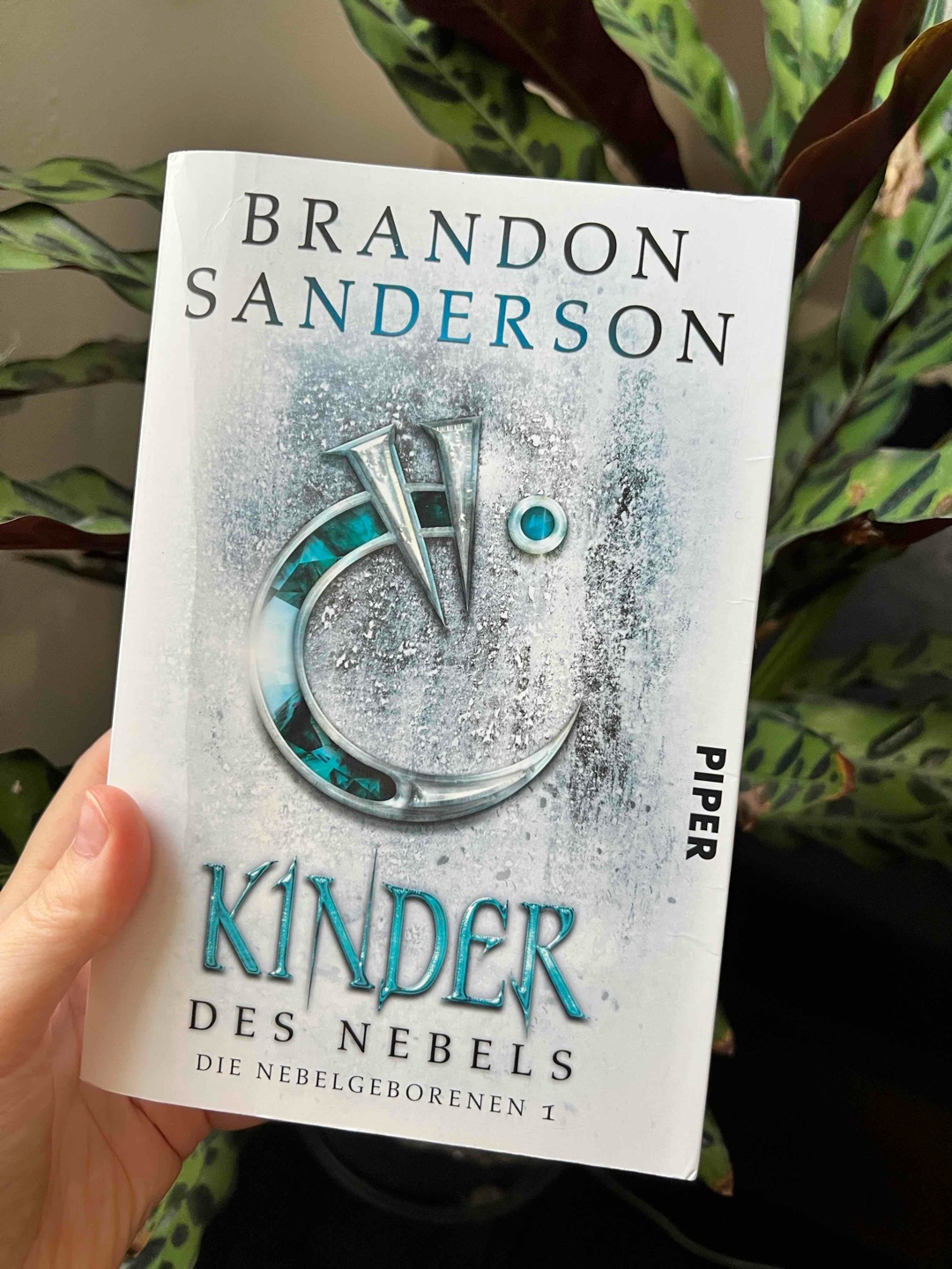 Grandioser Einstieg in die Welt von Brandon Sanderson 🙌🏻