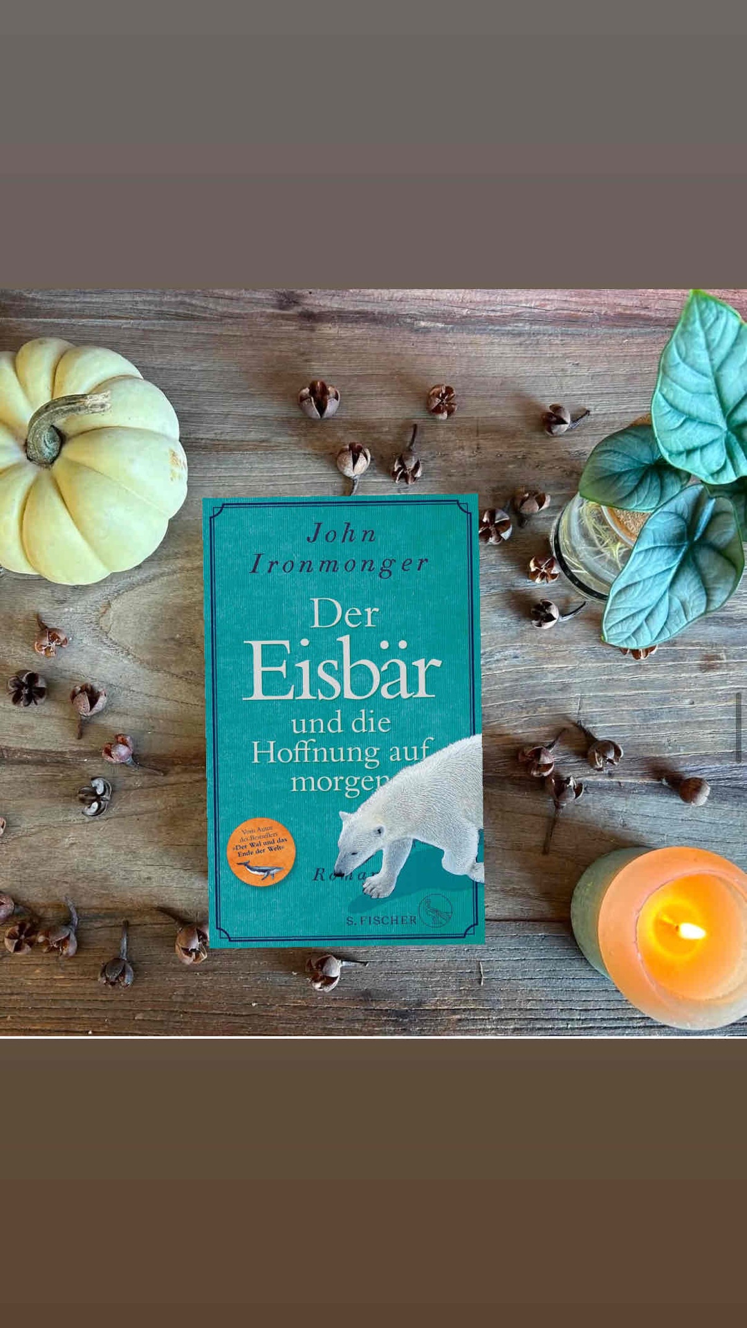 ⭐️⭐️⭐️⭐️ 4/5
📖 Seiten 399
📚 Kindle unlimited / Paperback
__________________________________