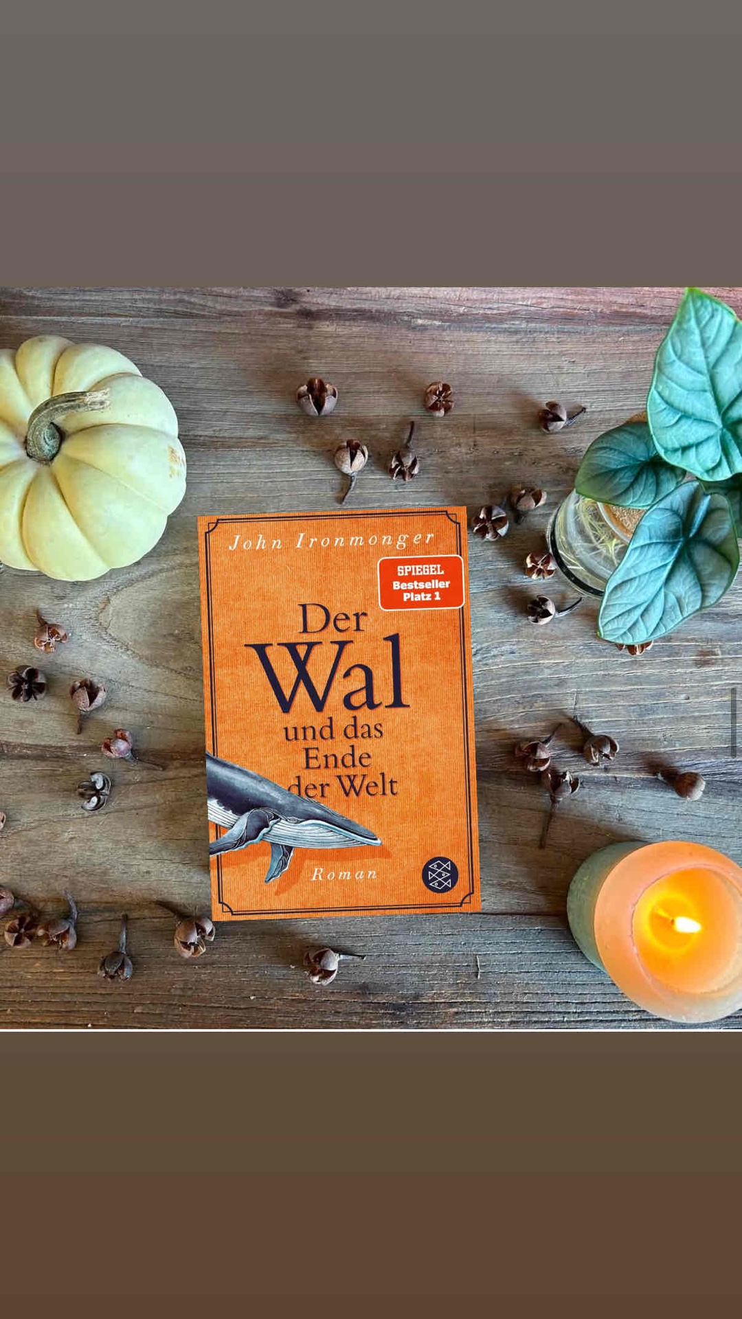 ⭐️⭐️⭐️⭐️⭐️+✨ 5/5
📖 Seiten 467
📚 Kindleunlimited
__________________________________