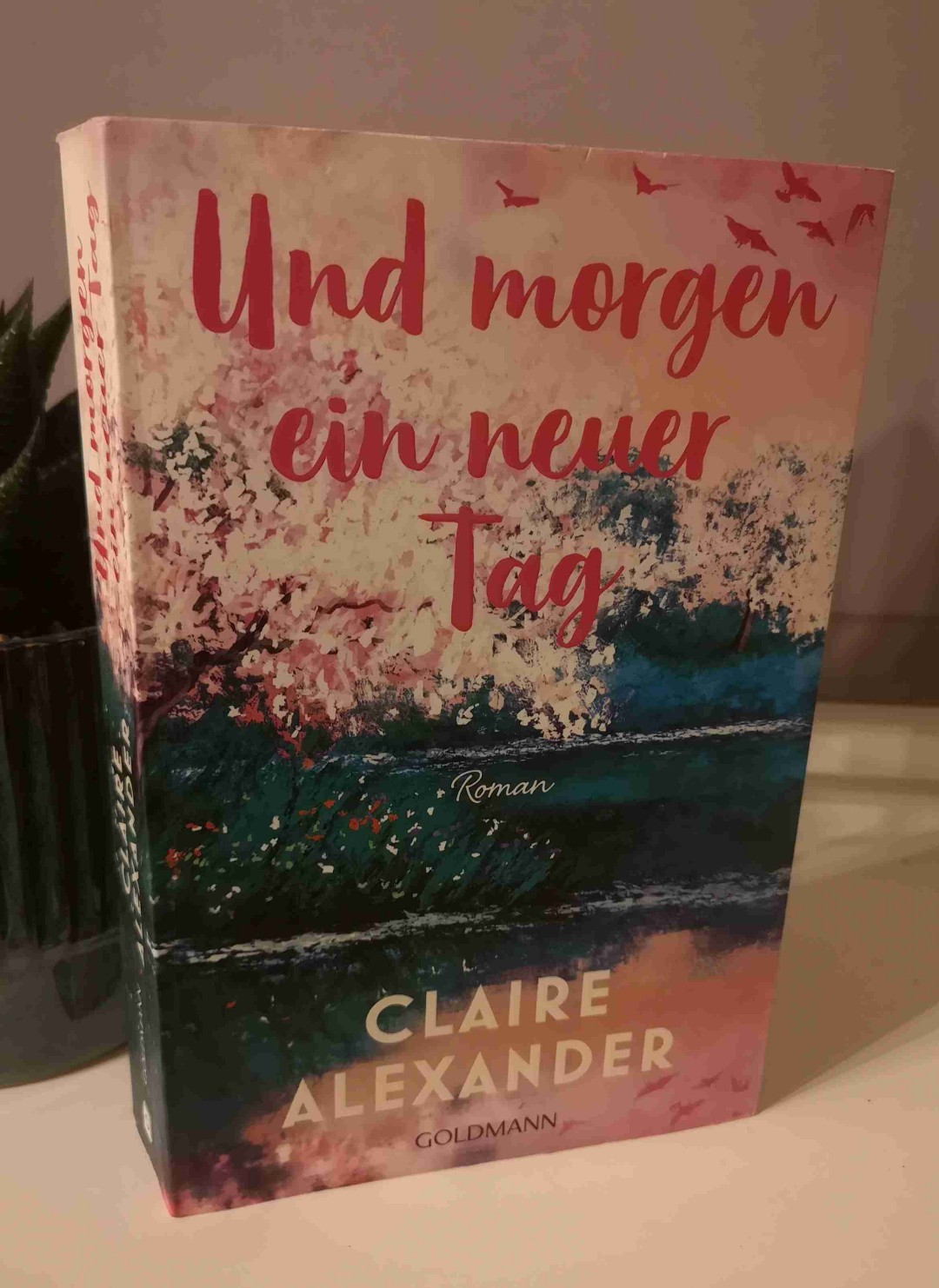 Und morgen ein neuer Tag☀️