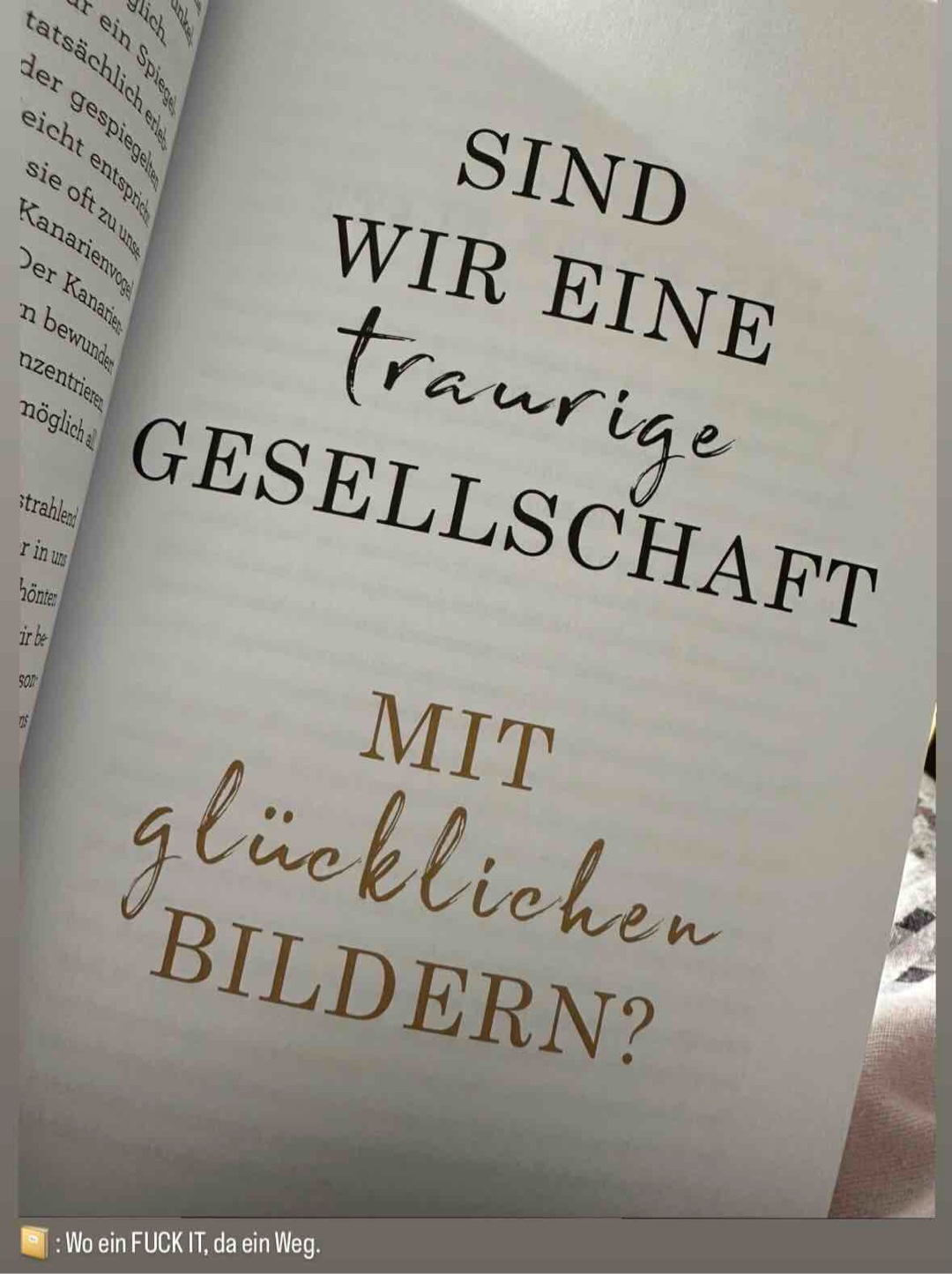 📚🤍📚