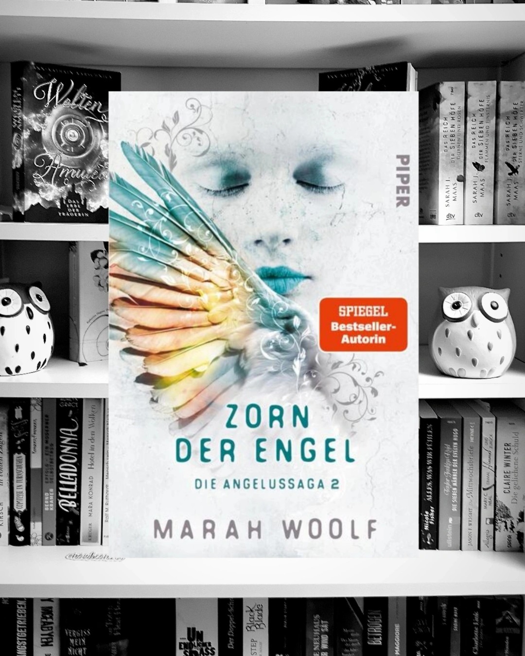 Neue Lieblingsreihe 5/5⭐