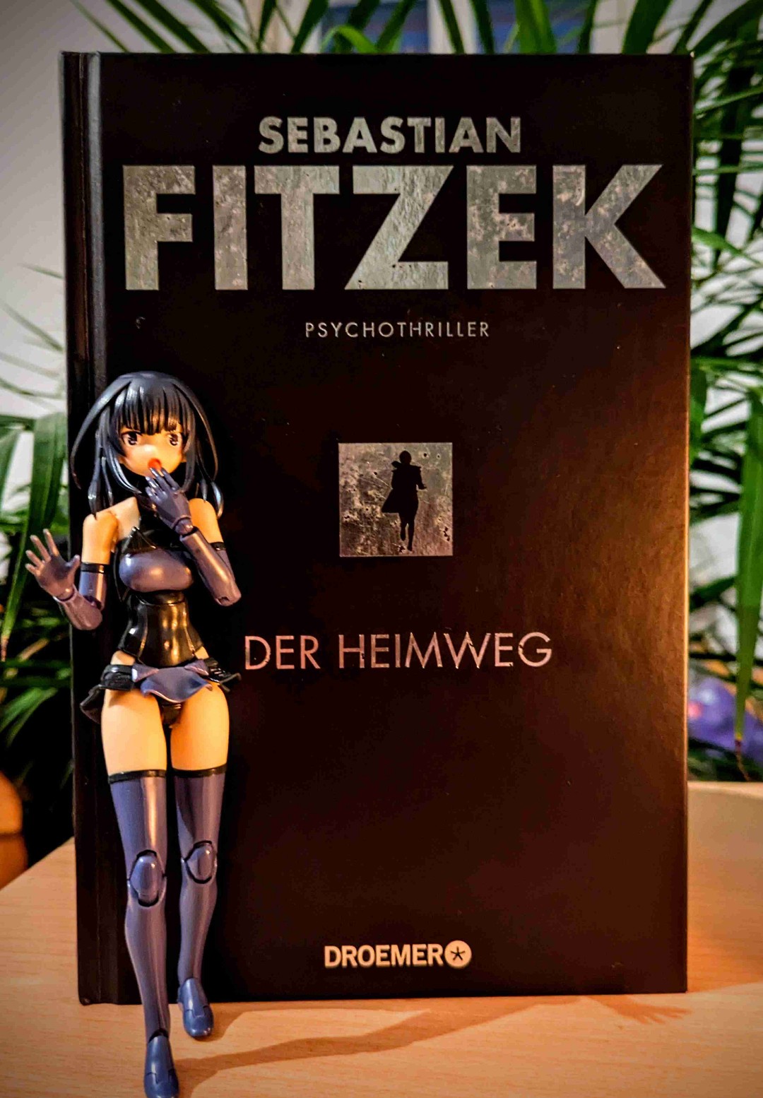 Spannend, heftig, nicht für jedes Gemüt!
Mein Erster Fitzek …