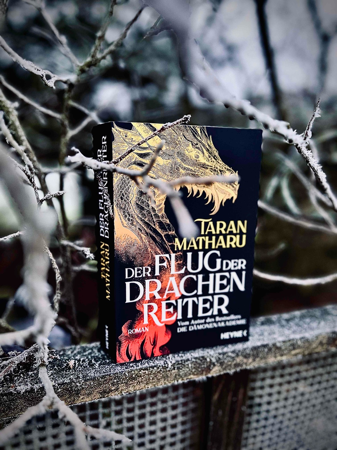 Tolles Worldbuilding, tolle Ideen - leider blieb der Funke aus
