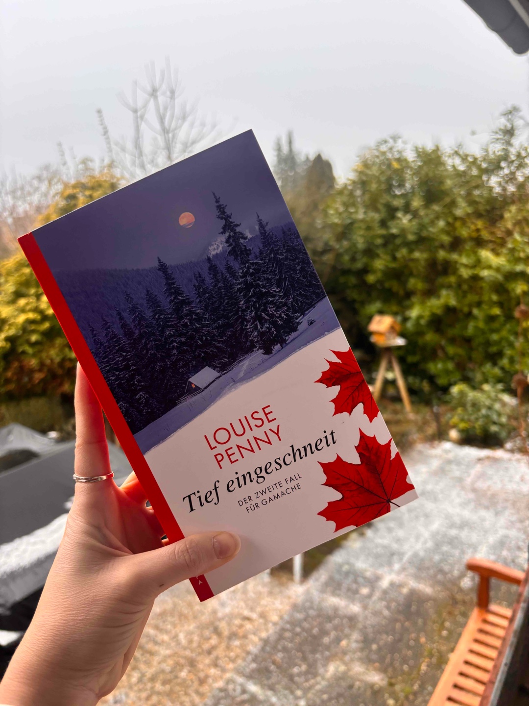 Der zweite Fall des Inspector Gamache führt natürlich wieder in das wundervolle Dorf Three Pines. Wir treffen auf Bekannte und lieb gewordene Charaktere als auch auf neue. Darüber hinaus zeigt dieser Teil, wie viel Macht Worte haben können.
Ein sehr gelungener zweiter Teil. Freue mich auf den nächsten!