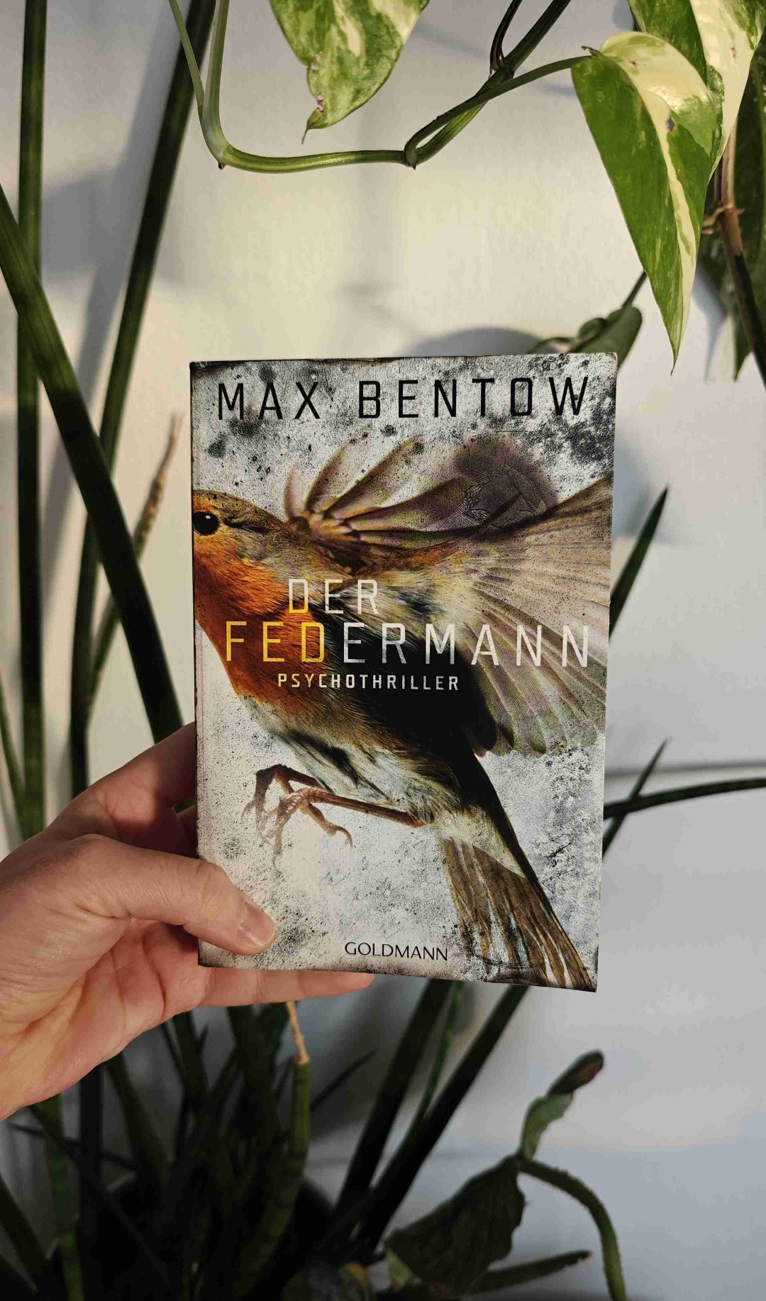 Der Federmann