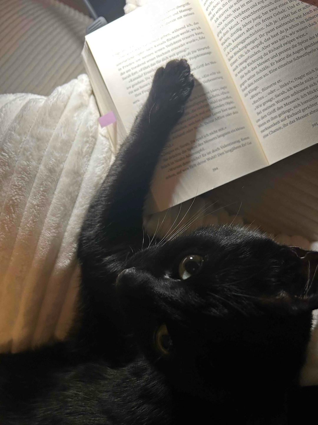 Tolles Buch mit Spannung bis zum Schluss!