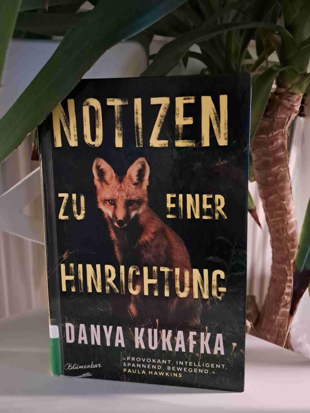 Ein Buch und die Frage, können Menschen vor dem Bösen bewahrt werden? Können Täter auch Opfer sein?