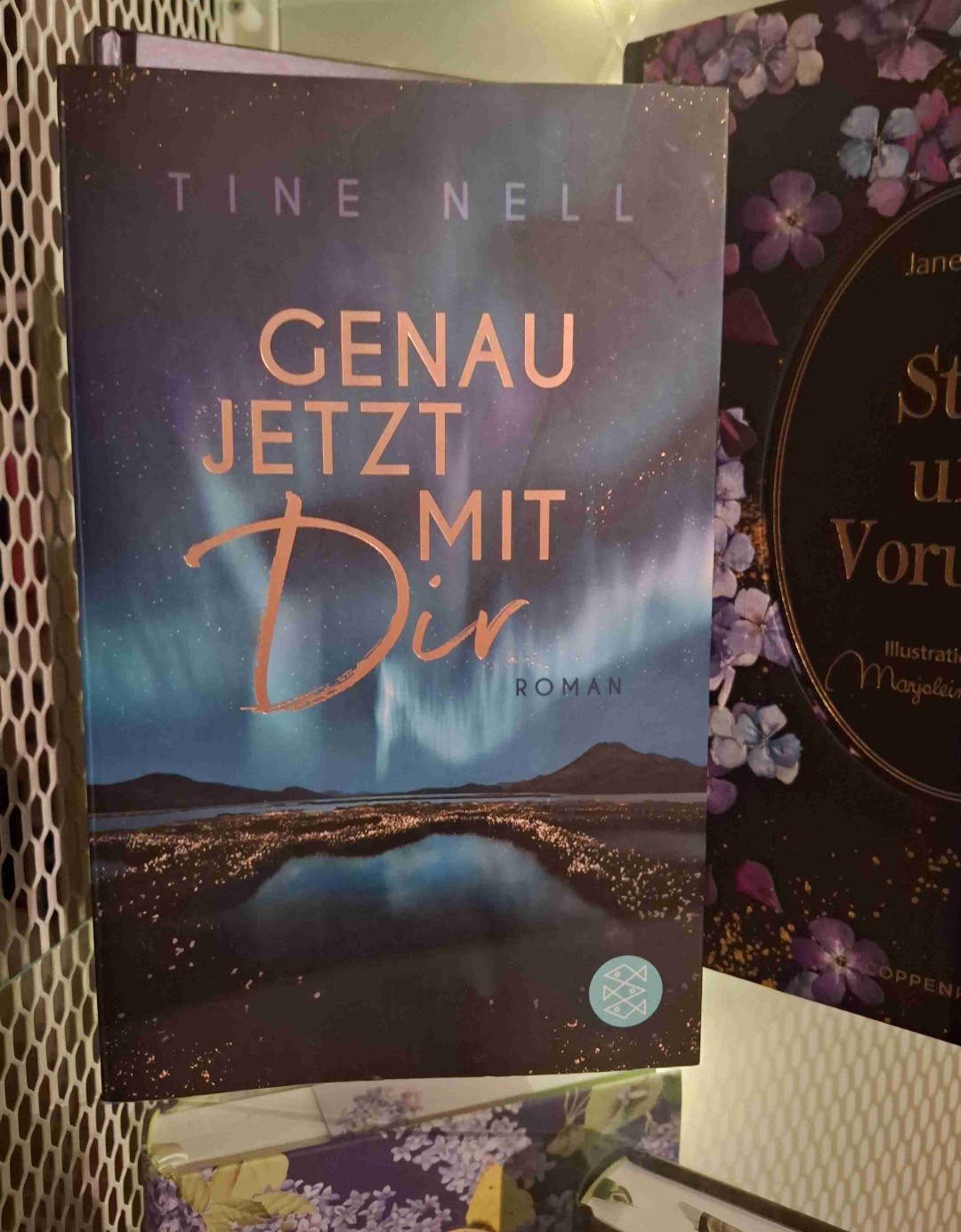 Langweiliger Reiseführer - aber hübsch verpackt 🌠🇸🇪