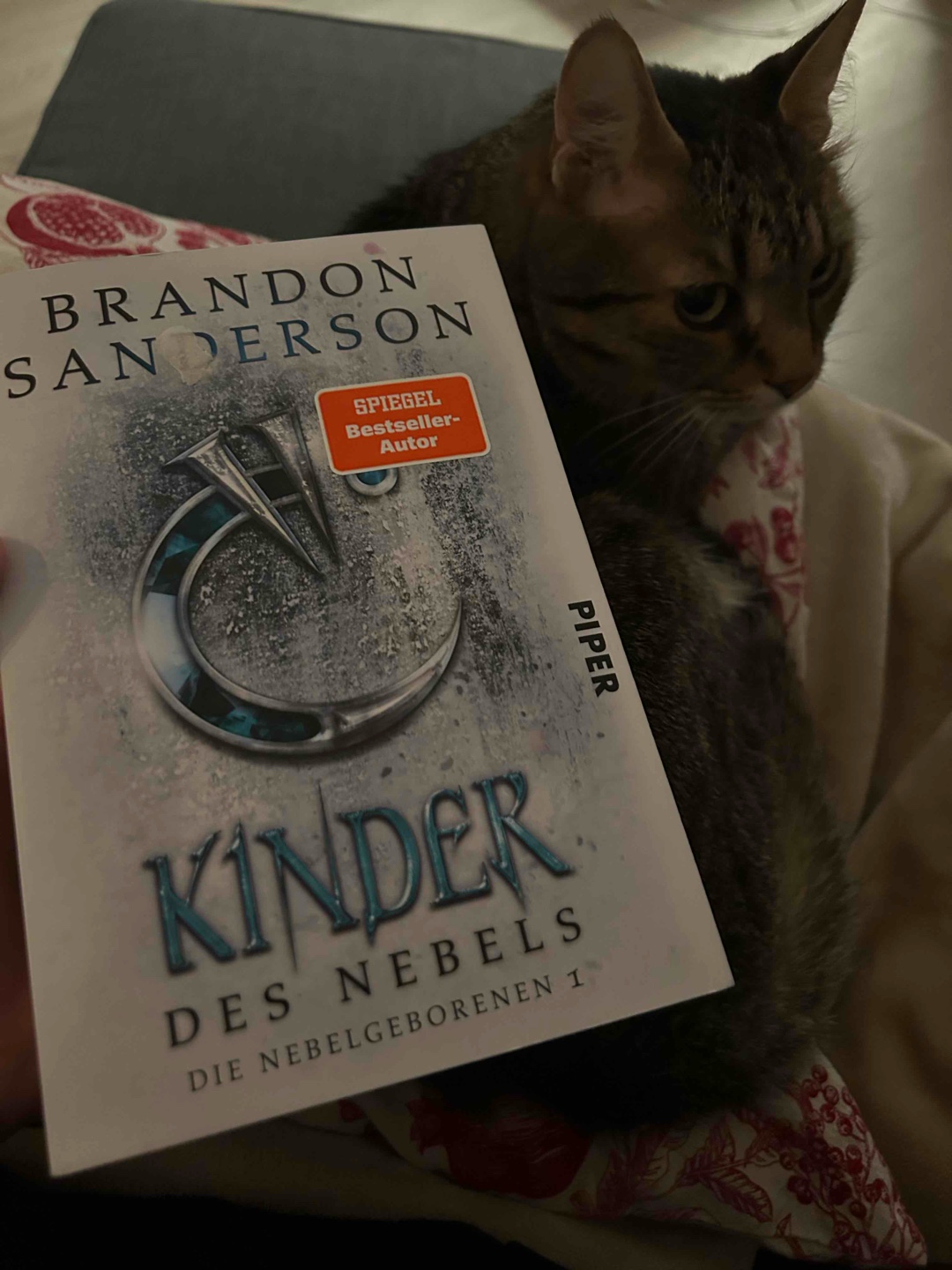 Unglaublich. Ein Jahr habe ich an diesem Buch gelesen. Nicht weil es schlecht war, ganz und gar nicht. Sondern weil diese Art von Fantasy ganz neu für mich war. Teilweise hatte ich das Gefühl ein Sachbuch zu lesen, weil die Dinge so nüchtern beschrieben wurden. Die Geschichte wurde aber immer spannender und nach einem wirklich langen und wichtigen world building habe ich verstanden wieso die Bücher so beliebt sind.