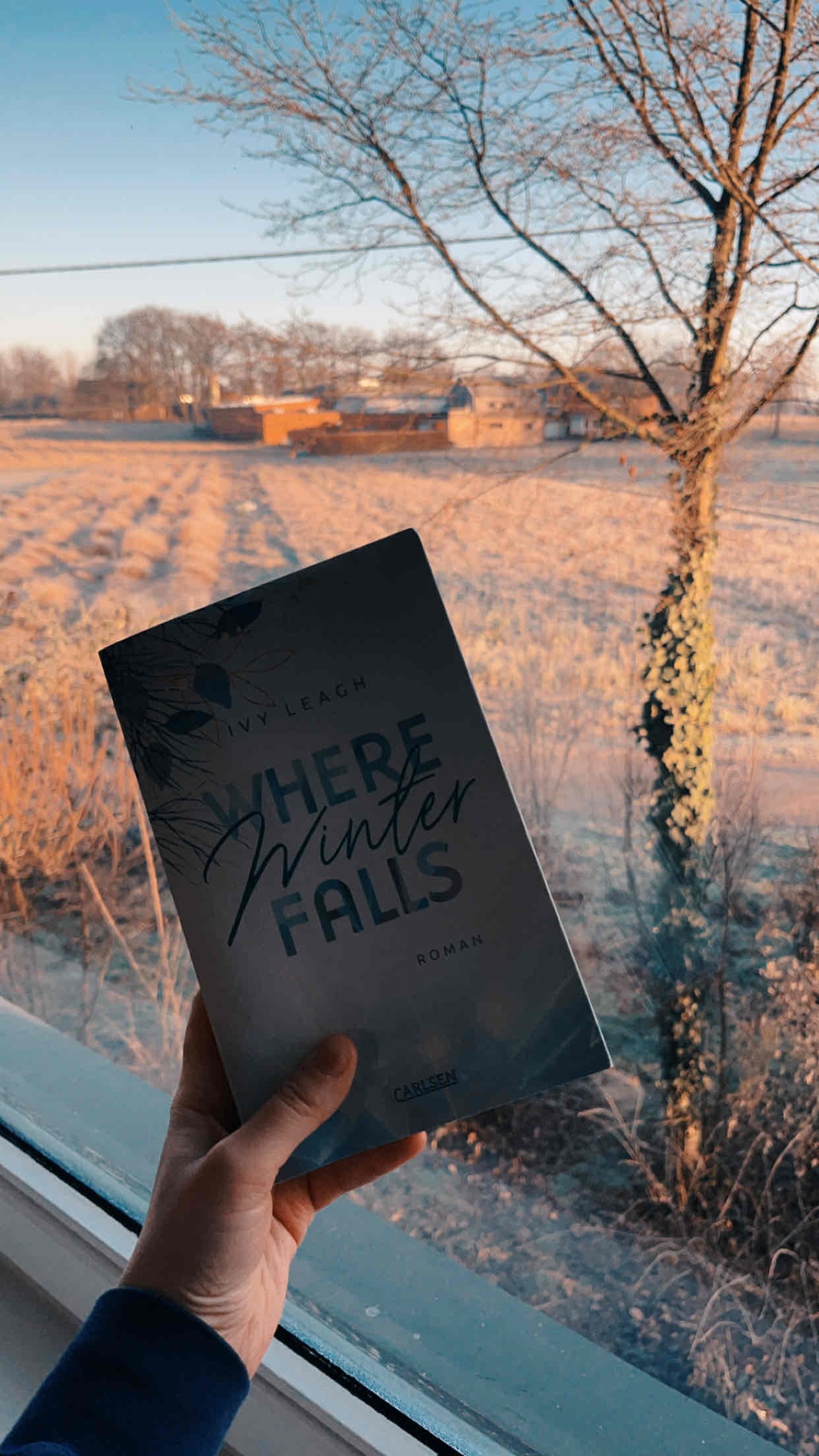Leicht zu lesende Enemies-to-Lovers Story 🌨️
