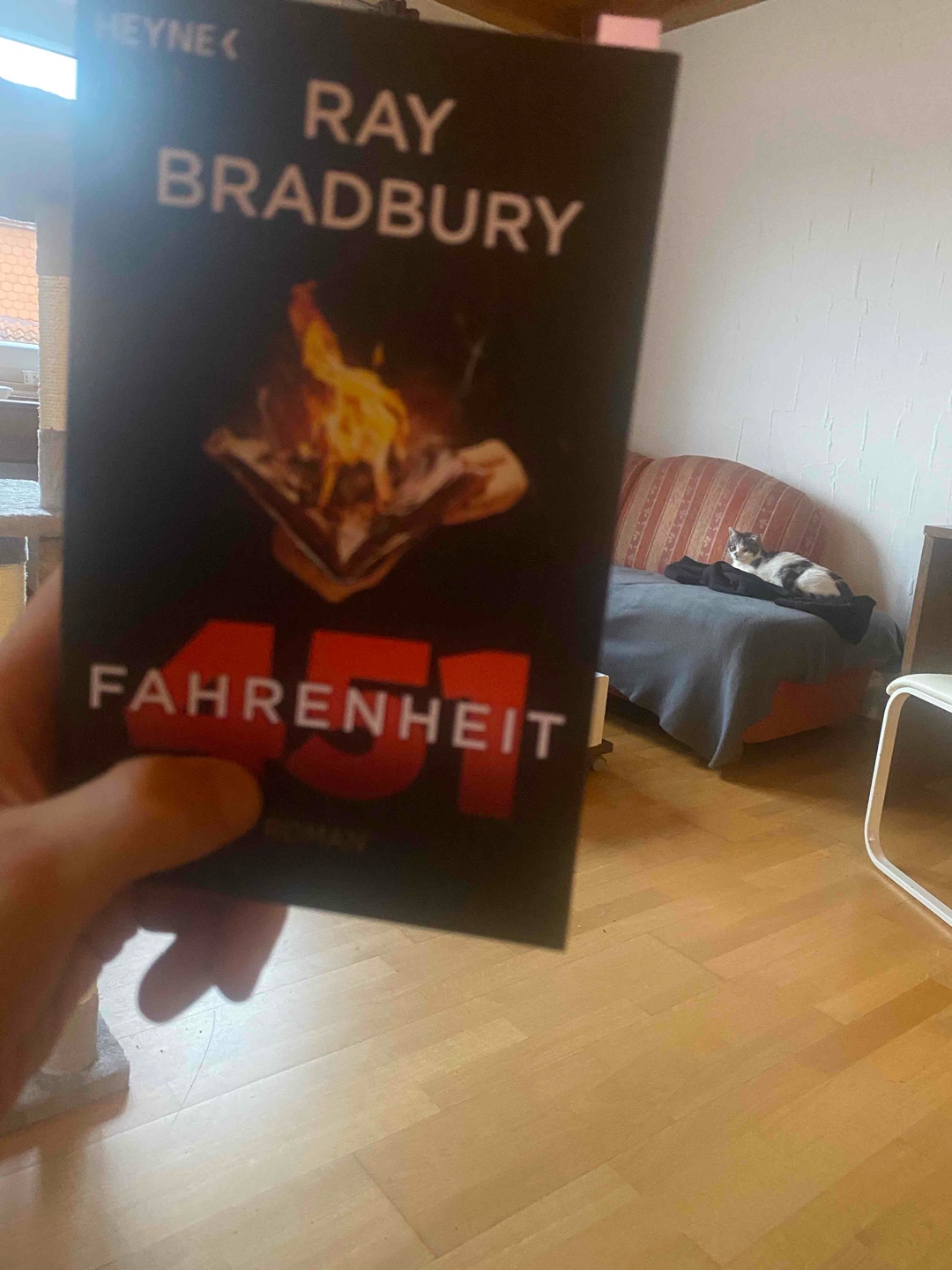 Ein Buch, das einem das Denken zurückgibt!
