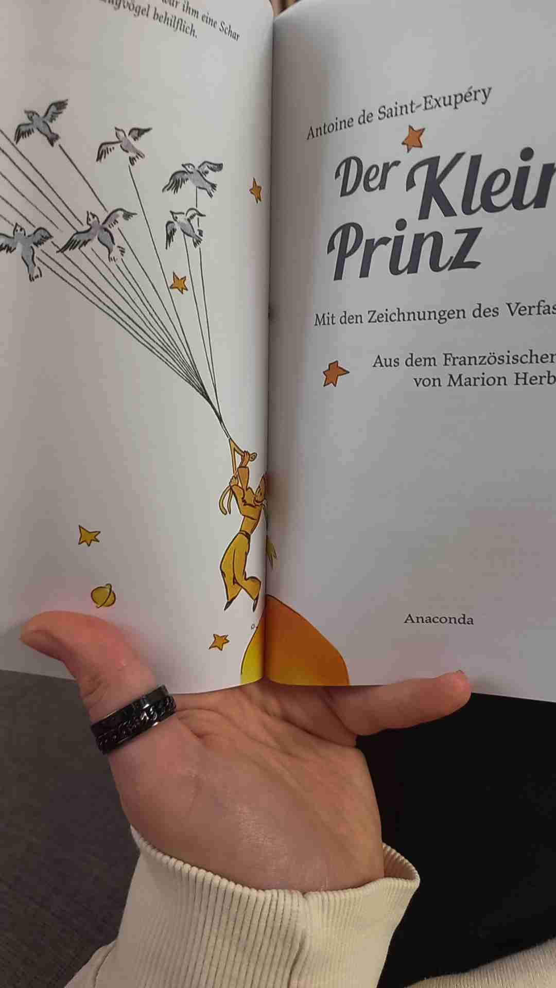 Und ich könnte wie die Erwachsenen werden, die sich nur noch für Zahlen interessieren.
