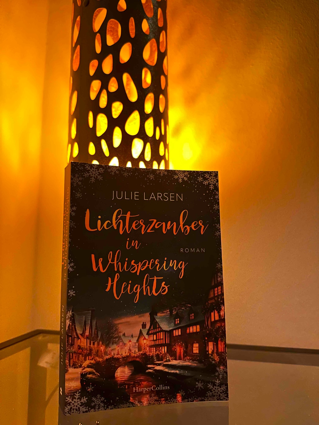 Zwei einsame Herzen, die sich finden und heilen ❤️🩹
