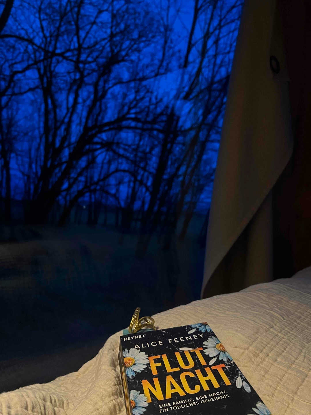 Mit Tränen in den Augen hab ich dieses Buch zugeklappt…