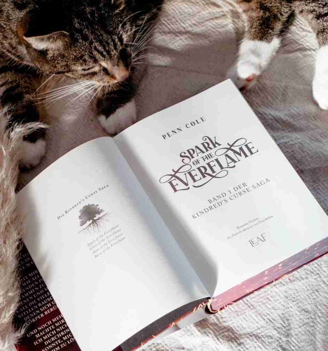 Dieser Buch verspricht nicht zu wenig - fesselnd von Anfang bis Ende! Ich möchte bitte ganz schnell Band 2.