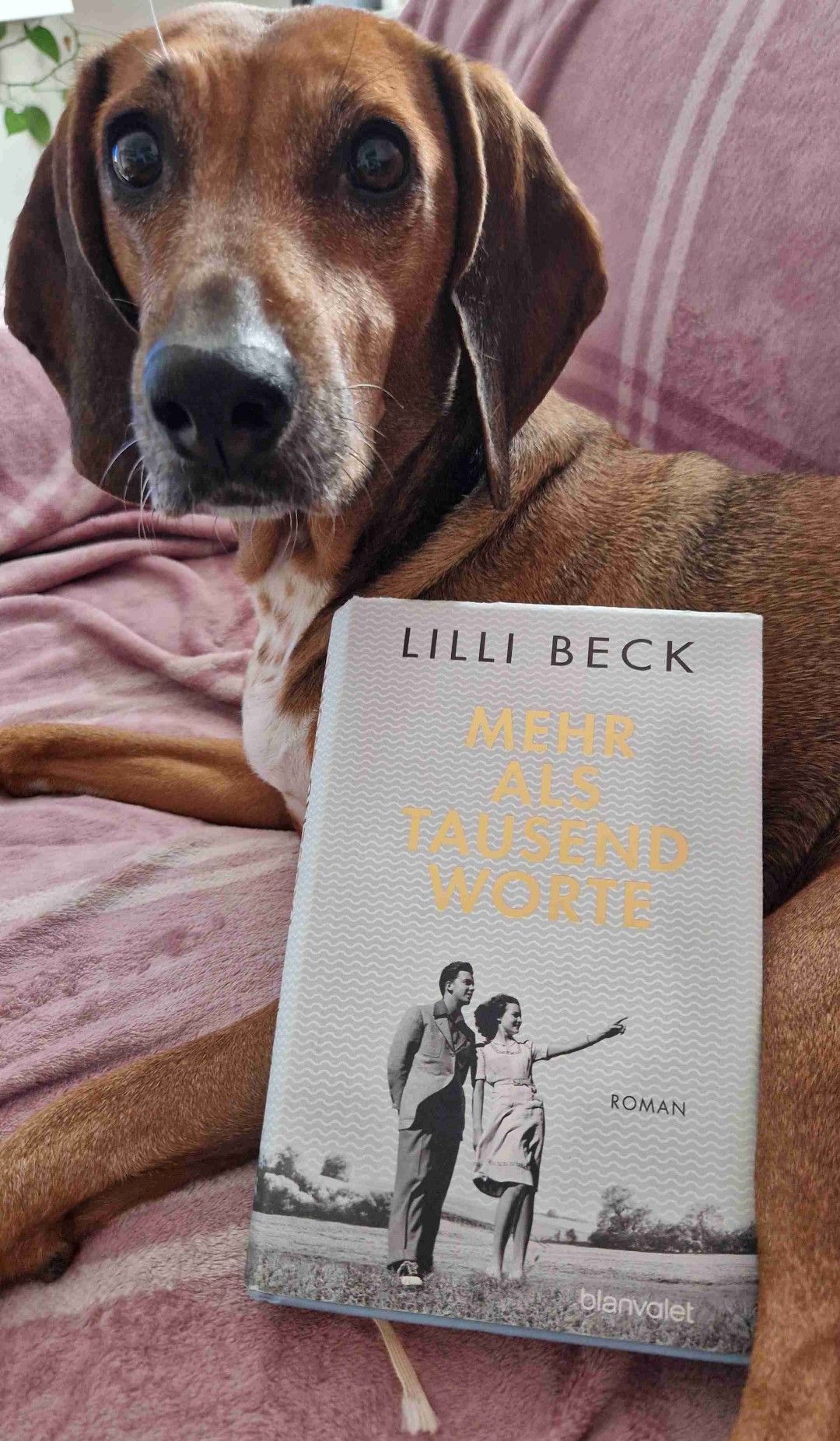  Ein Buch, das unter die Haut geht. 💖
