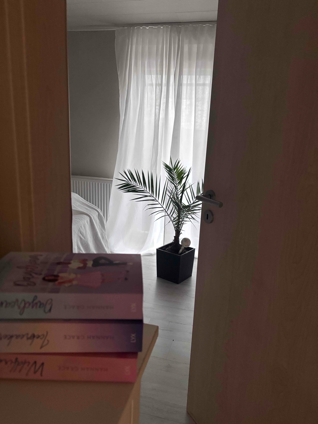Ich kenne nur wenige Dreiteiler, die immer besser werden. Bei dieser Buchreihe finde ich, dass es genau so ist. Der dritte Teil hat mir bis jetzt am besten gefallen. Das ist das erste Buch, das ich gelesen habe, das von der ältesten Tochter in der Familie handelt und was daran gut oder schlecht sein kann. Da ich selbst die älteste Tochter bin, konnte ich mich gut in die Hauptperson hineinversetzen.