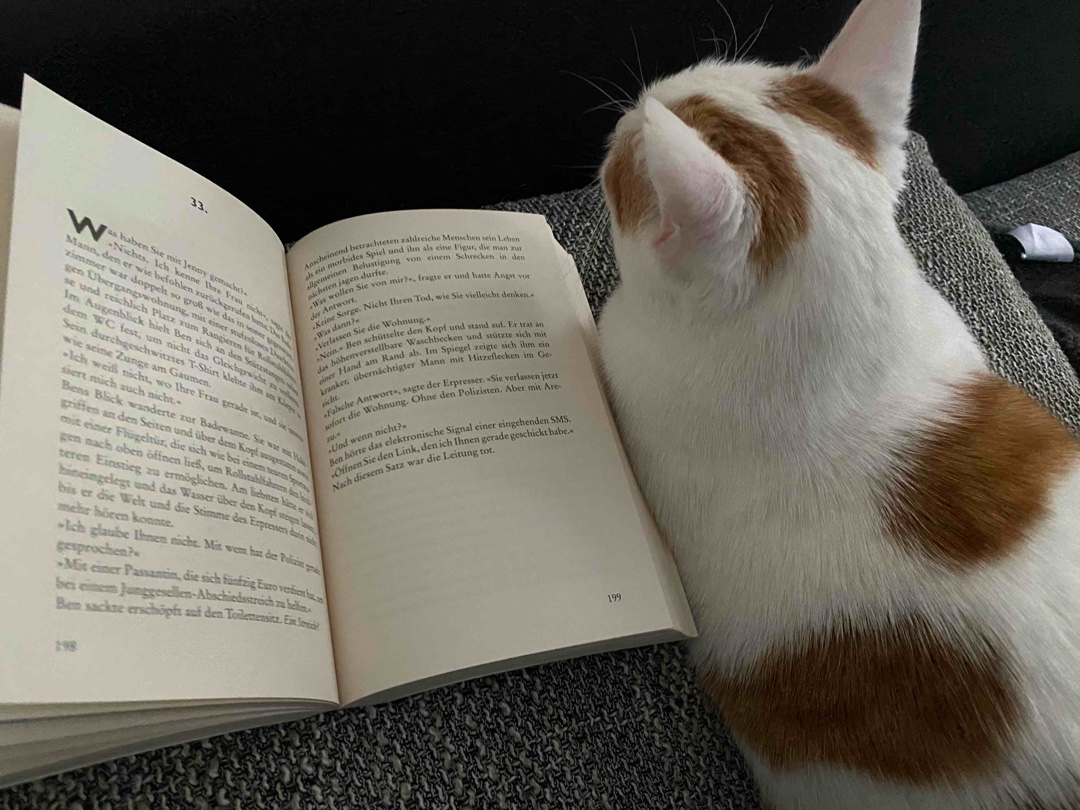 Die Katze mag es, also ich auch..