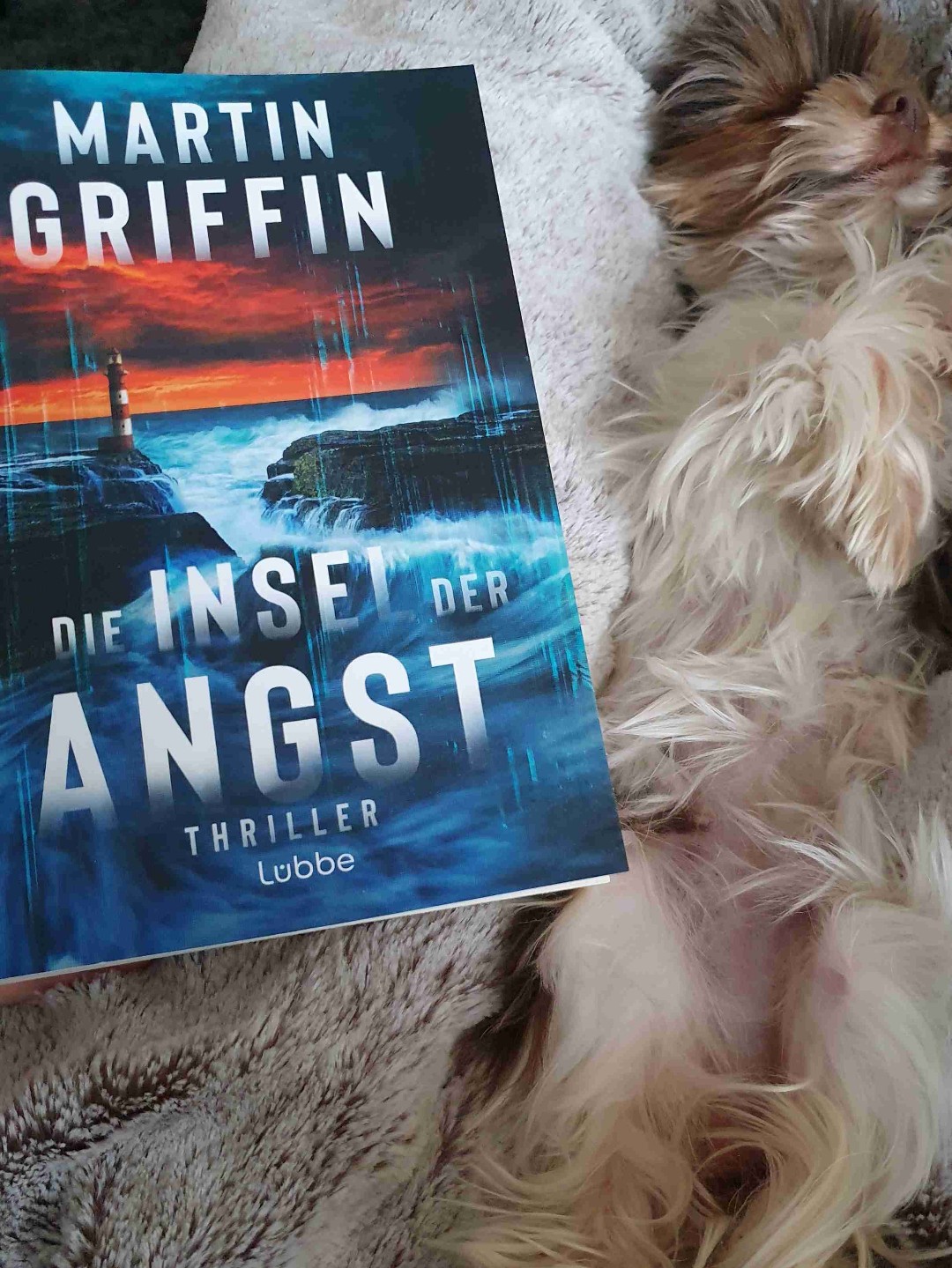 Solider Ausflug auf eine ungemütliche Insel